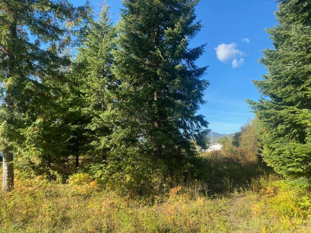 21. Land for Sale at NNA Plaza Ln (Lot 1B) Sandpoint, Idaho 83864 United States