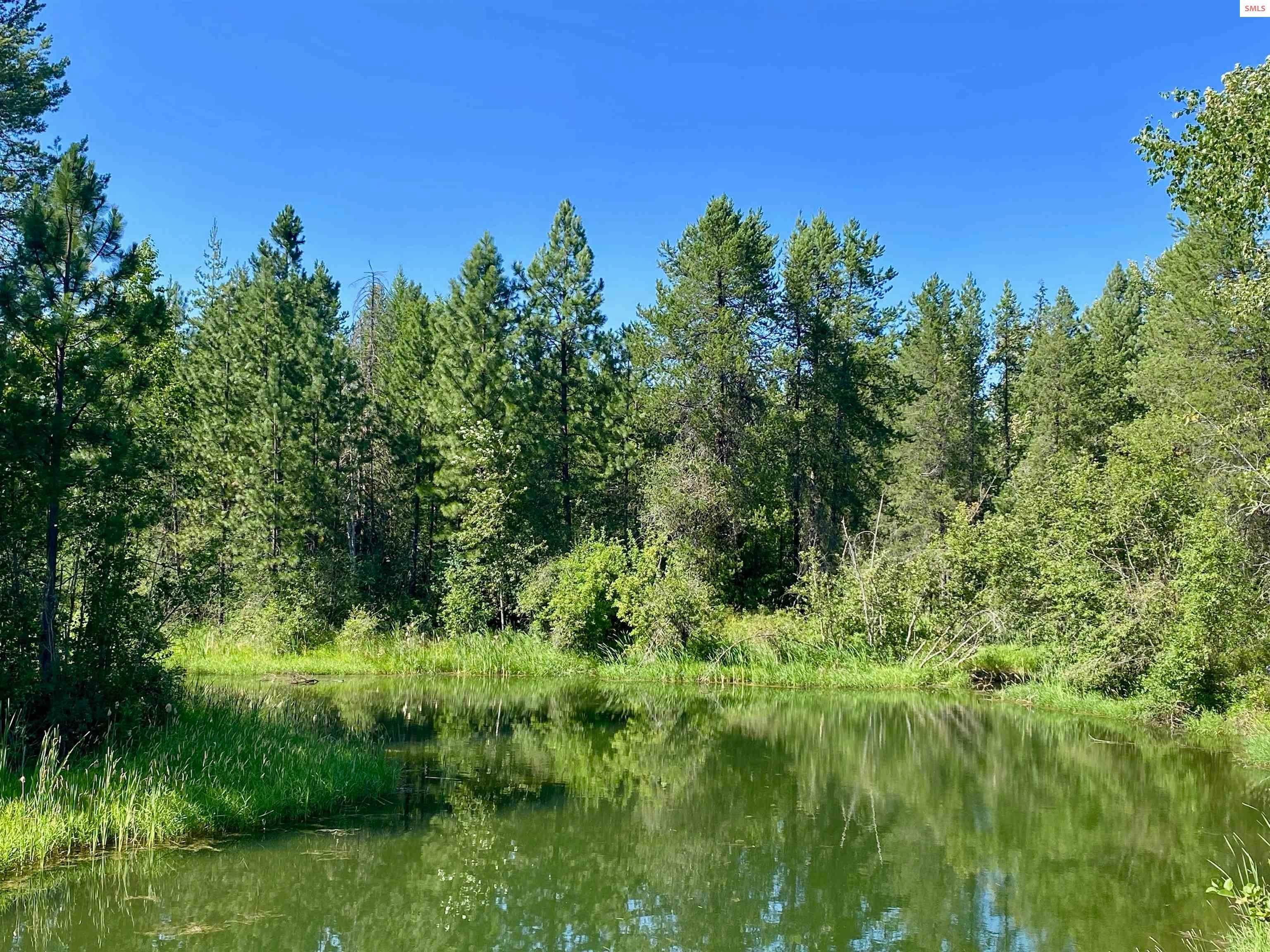 13. Land for Sale at Lot 5 BLK 2A Dover Bay Estuary Forest Dover, Idaho 83825 United States