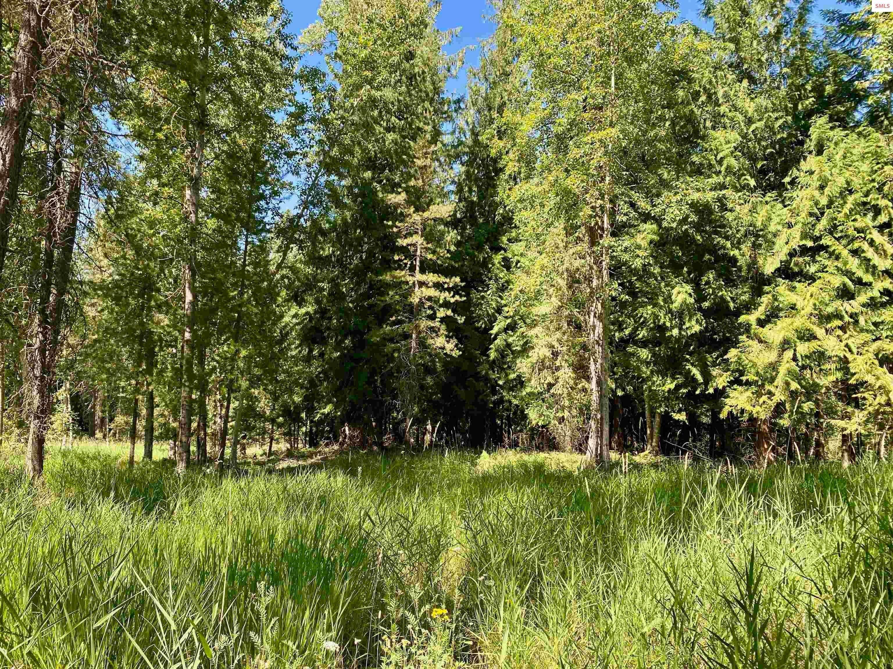 18. Land for Sale at Lot 5 BLK 2A Dover Bay Estuary Forest Dover, Idaho 83825 United States