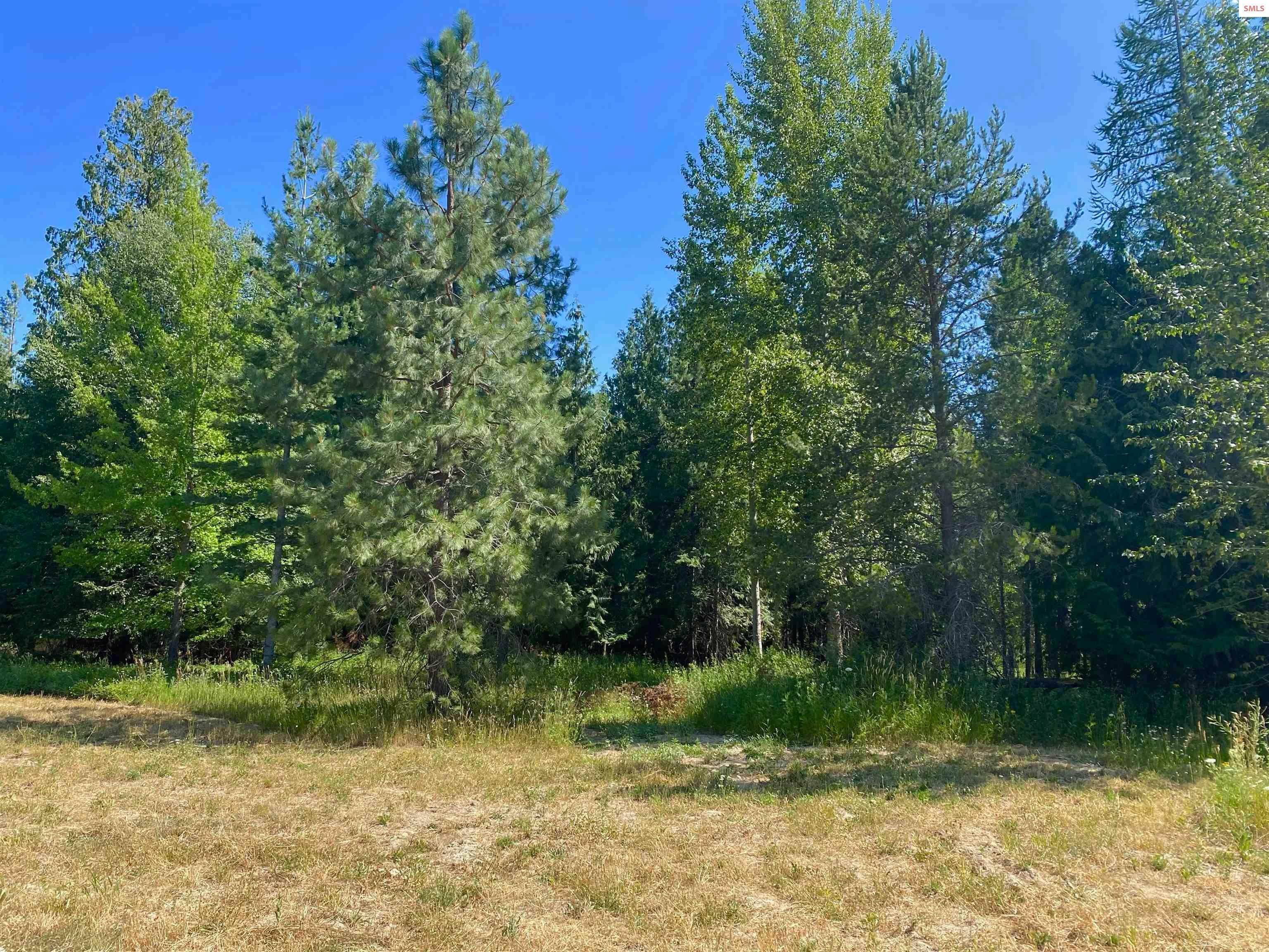 6. Land for Sale at Lot 5 BLK 2A Dover Bay Estuary Forest Dover, Idaho 83825 United States