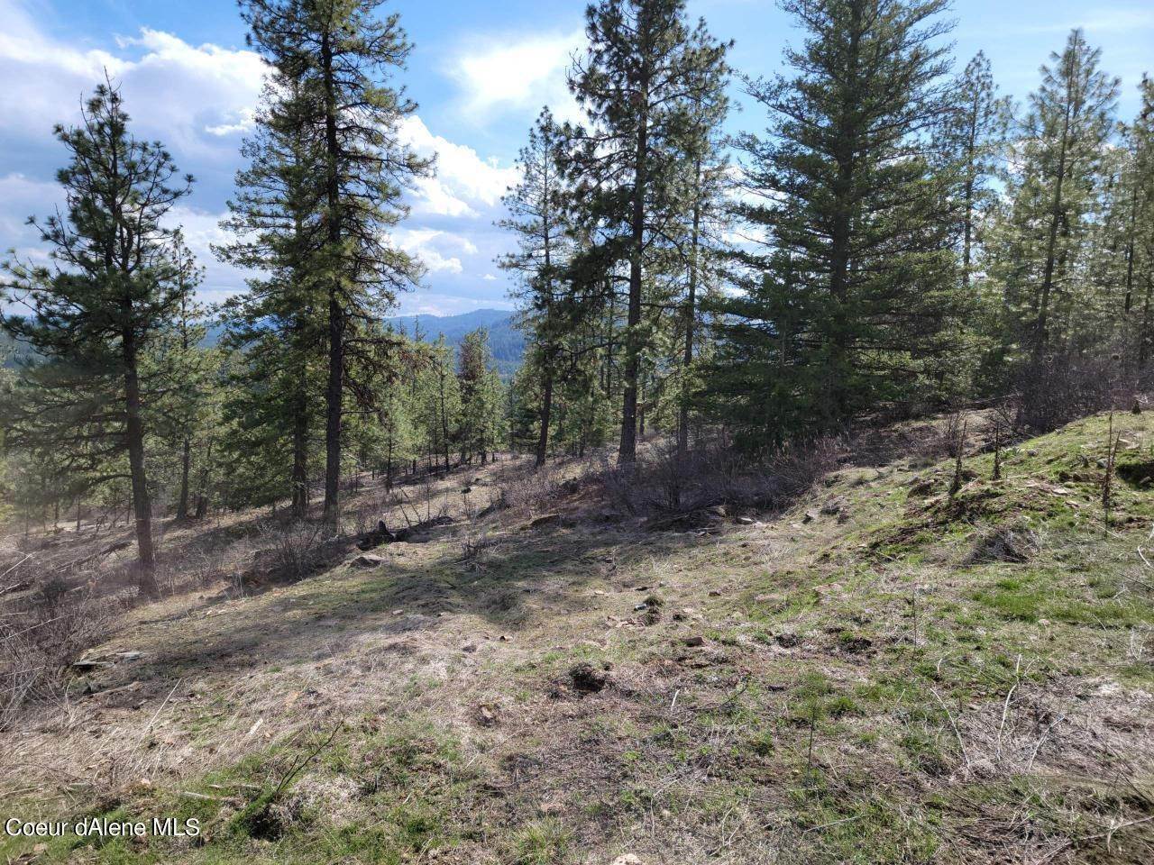 Land for Sale at NNA Bear Ridge Trail Spirit Lake, Idaho 83869 United States