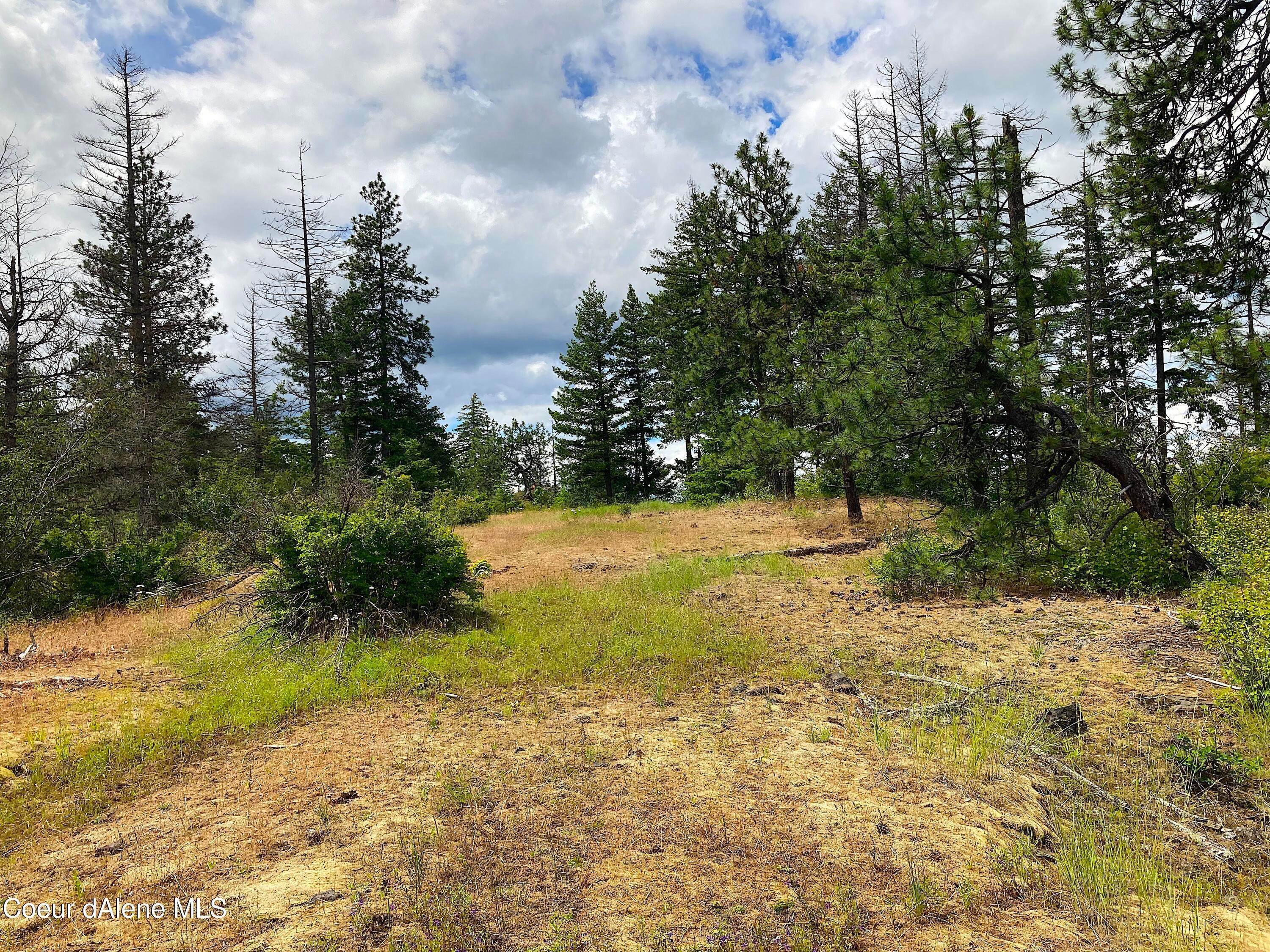 32. Land for Sale at 85 S Millview Lane Idaho 83814 United States