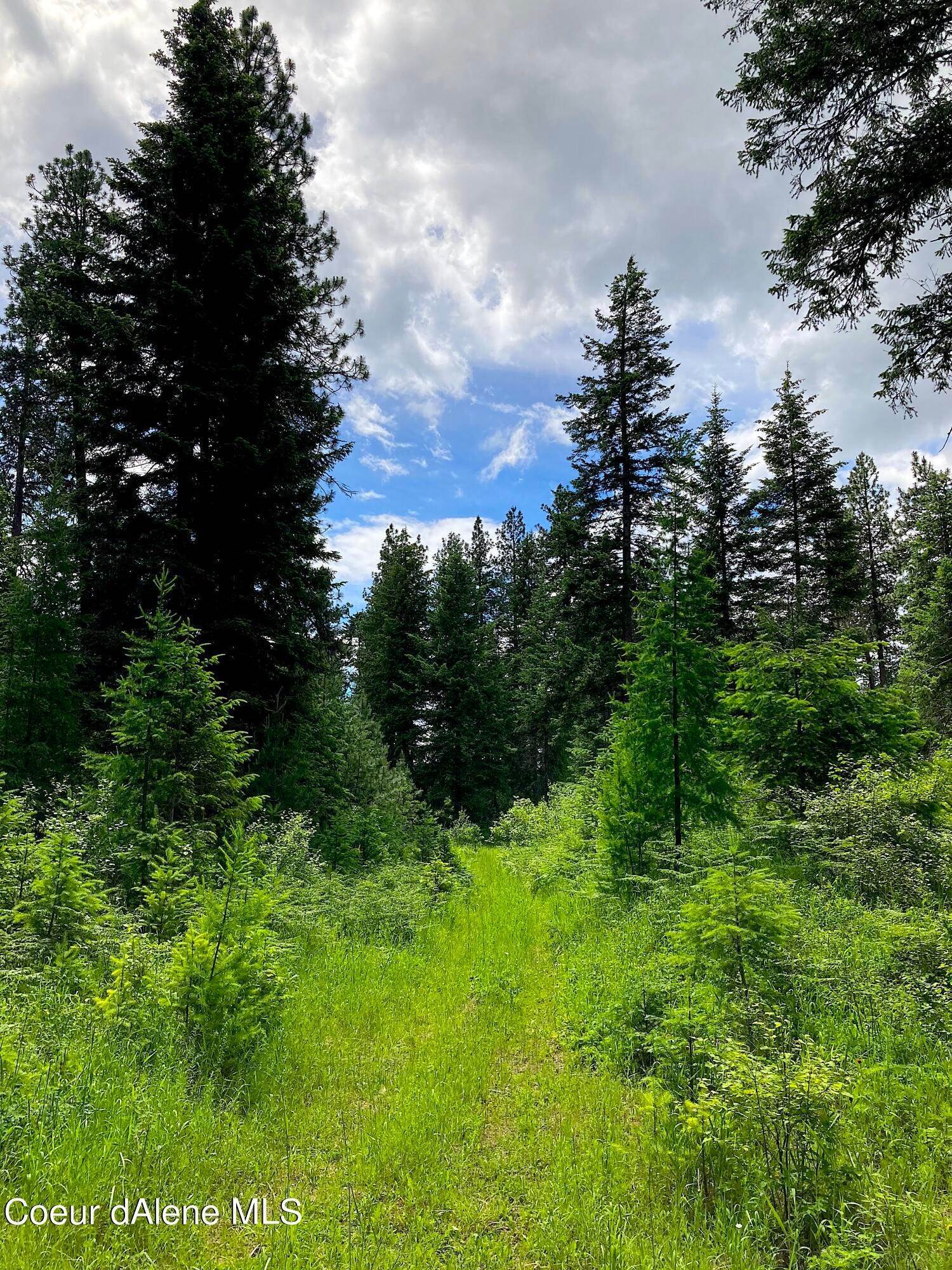 33. Land for Sale at 85 S Millview Lane Idaho 83814 United States
