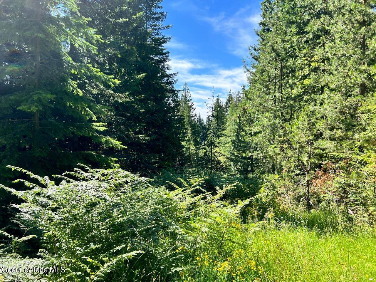 11. Land for Sale at 621 Upriver View Drive Fernwood, Idaho 83830 United States