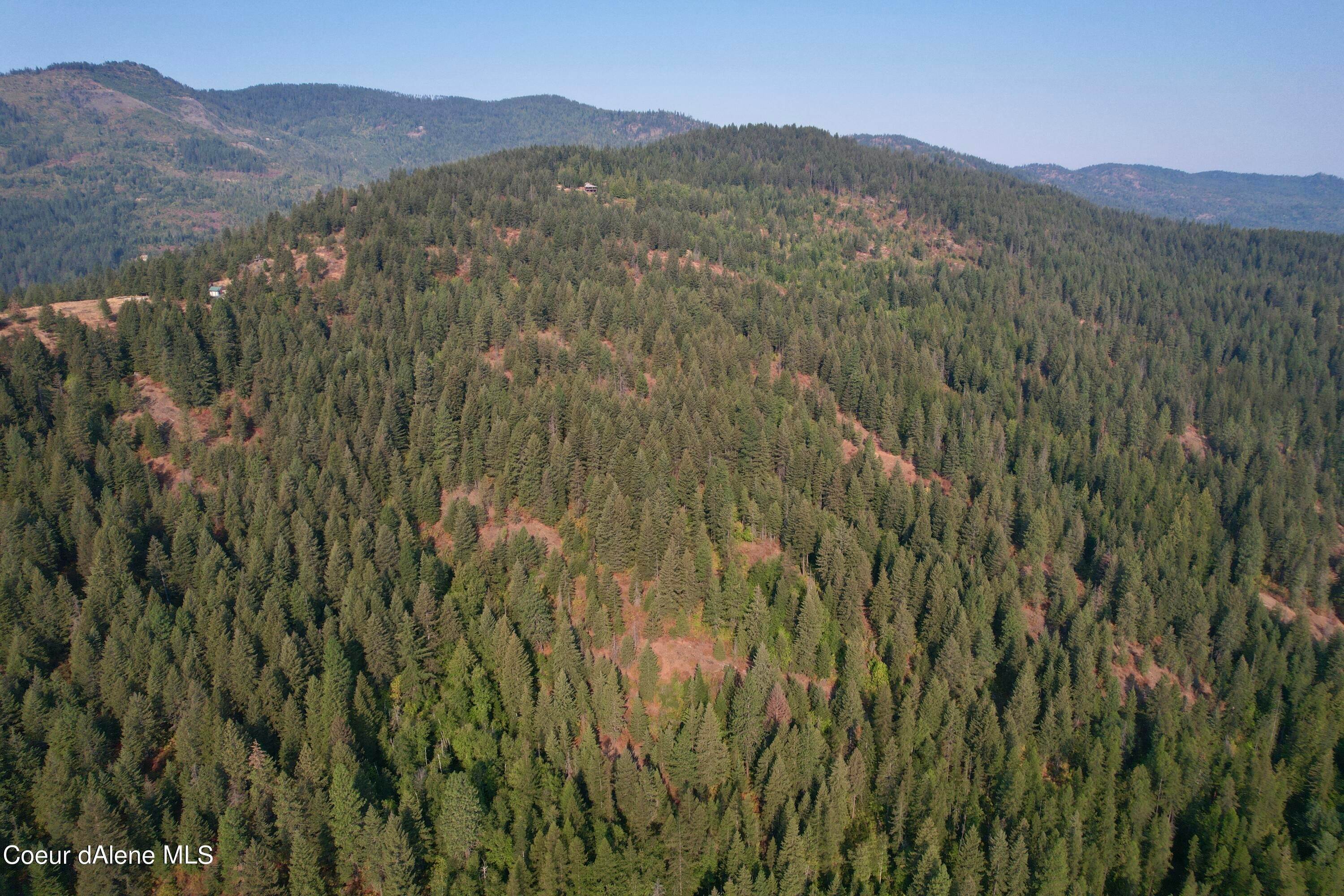 8. Land for Sale at NNA Manley Creek Road Sandpoint, Idaho 83864 United States