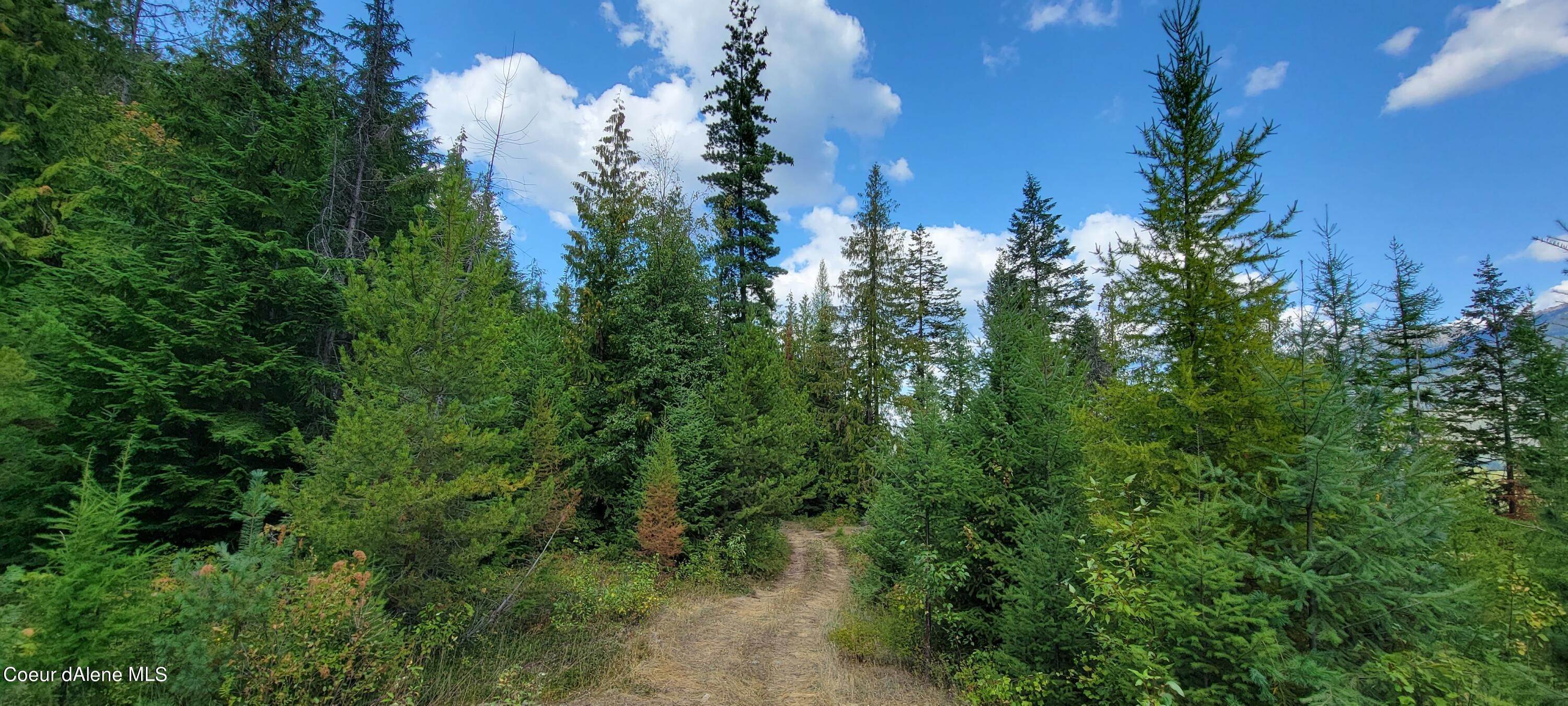 5. Land for Sale at NNA Enchanted Lane Tract 5 Bonners Ferry, Idaho 83805 United States
