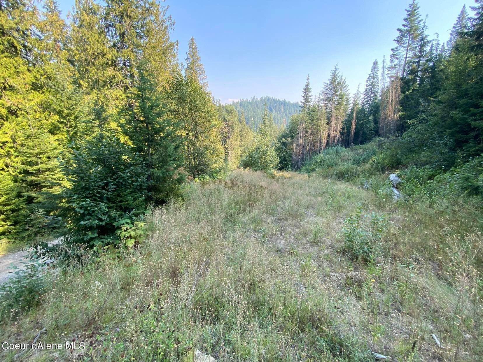 3. Land for Sale at NNA N Right Fork Road Hauser, Idaho 83854 United States