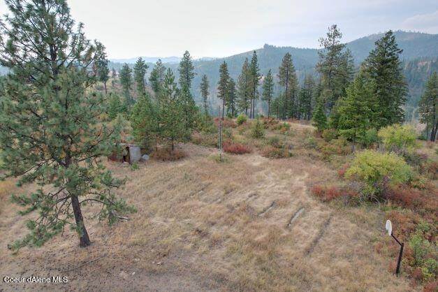 23. Land for Sale at NKA Echo Springs St. Maries, Idaho 83861 United States