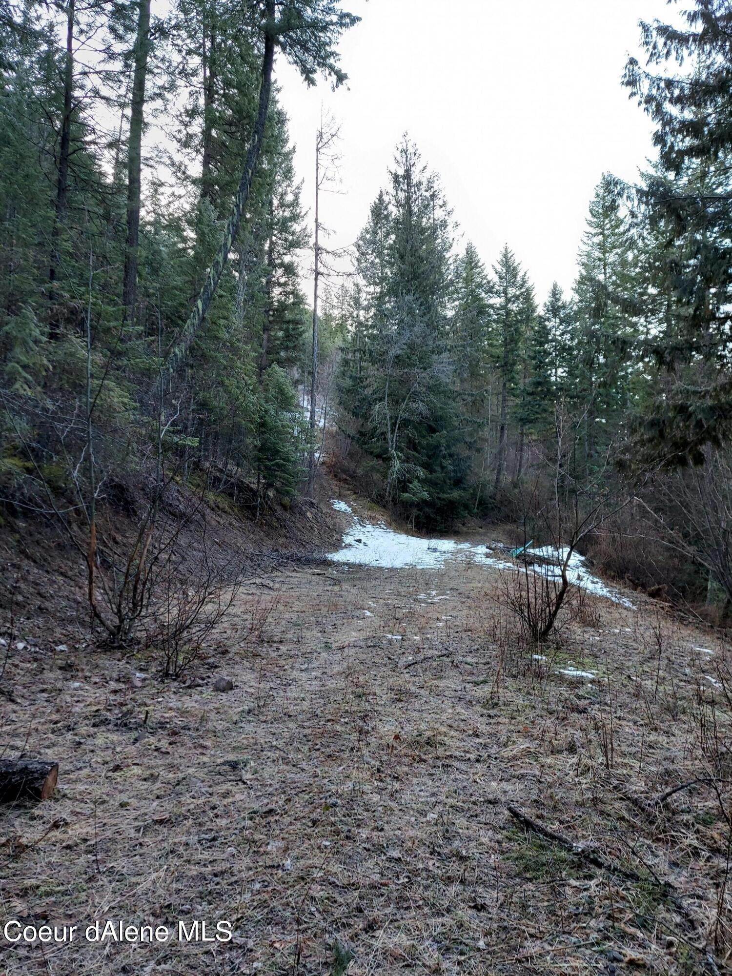 14. Land for Sale at NKA Silver Creek Spur Road Clark Fork, Idaho 83811 United States