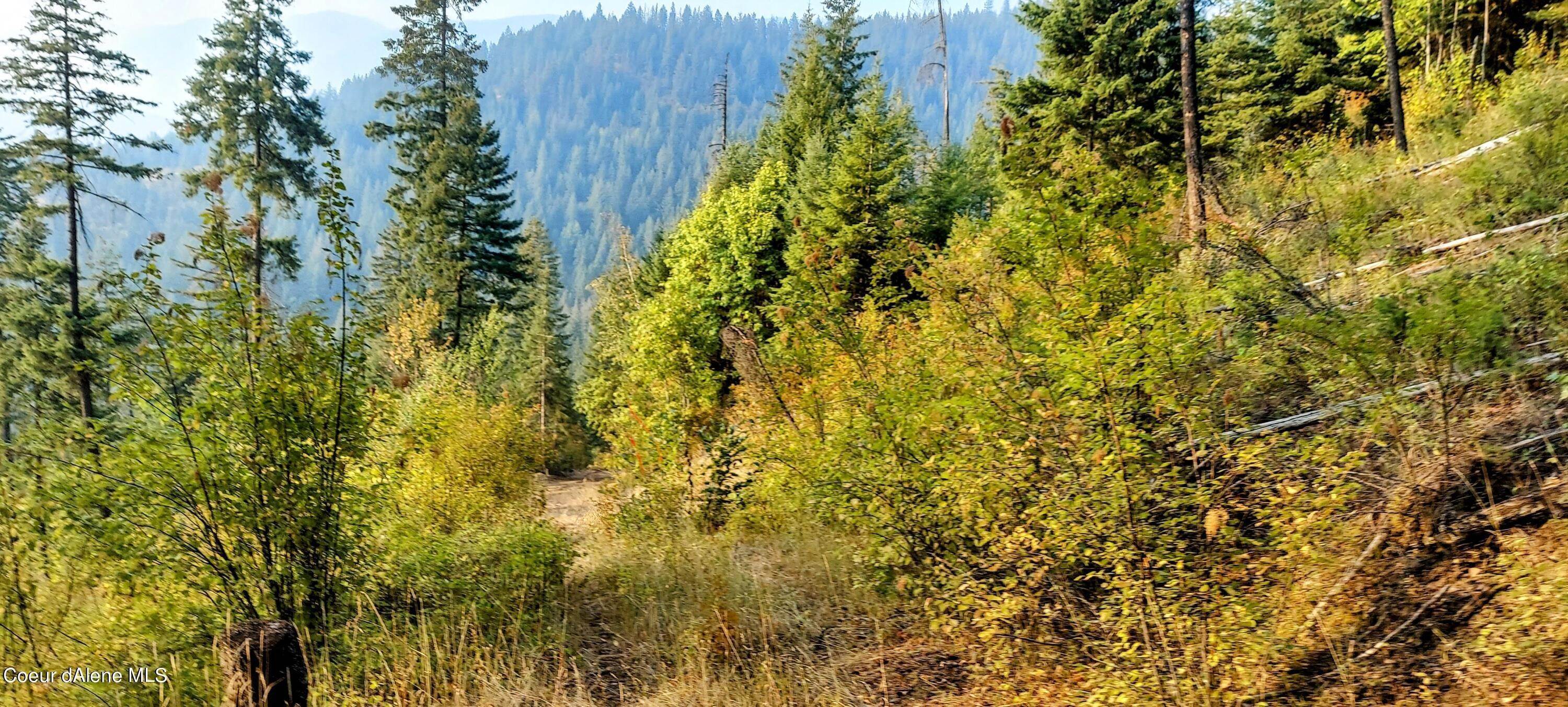 45. Land for Sale at NKA Silver Creek Spur Road Clark Fork, Idaho 83811 United States