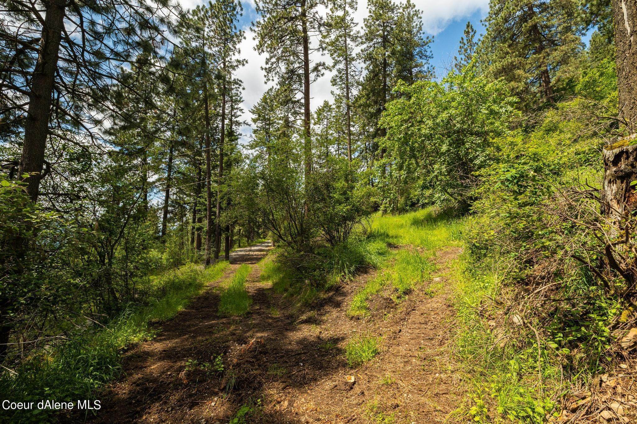 11. Land for Sale at 135 Osprey Roost Road Sandpoint, Idaho 83864 United States