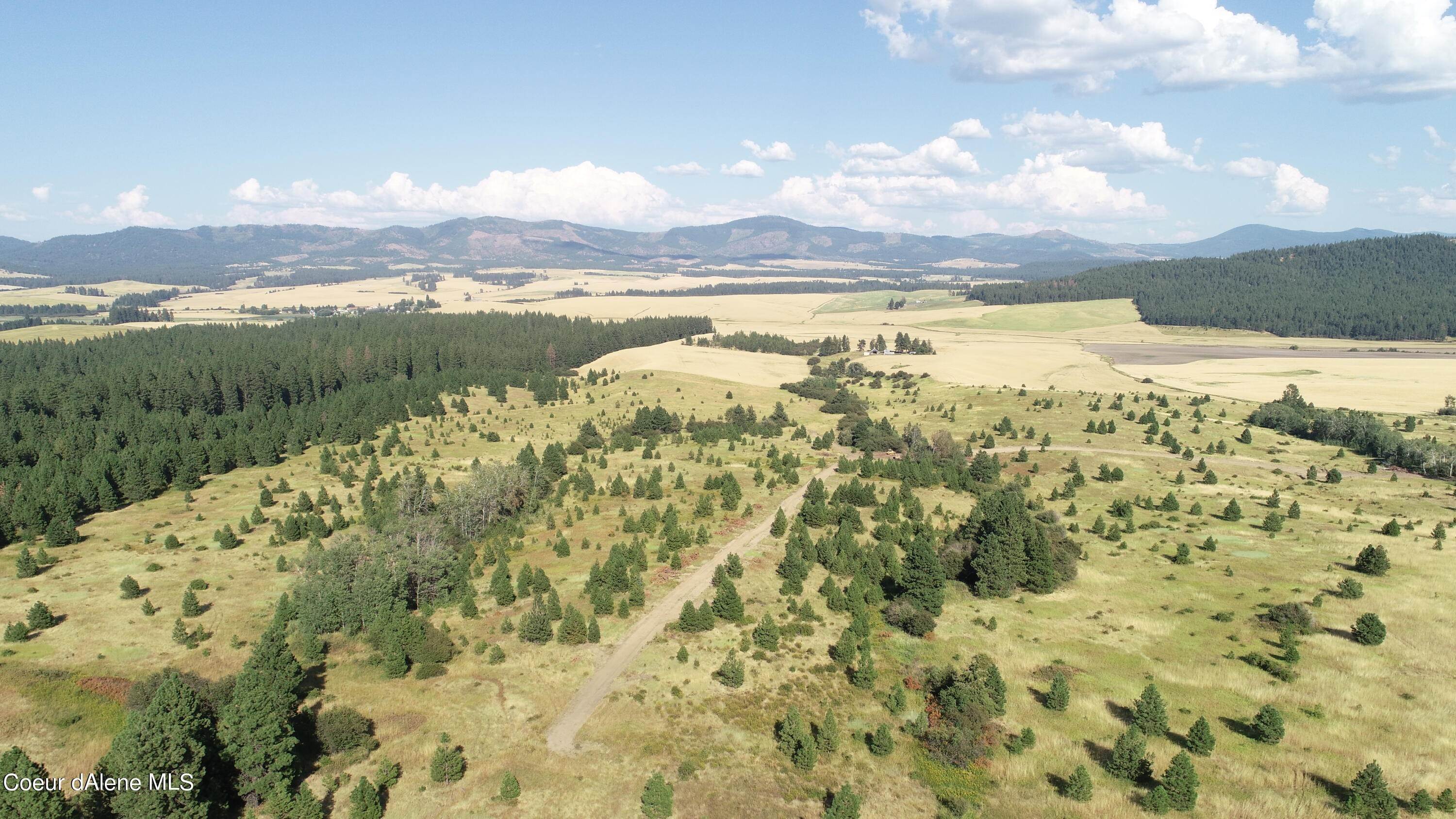 2. Land for Sale at Lot 5 Doupe Road Desmet, Idaho 83824 United States