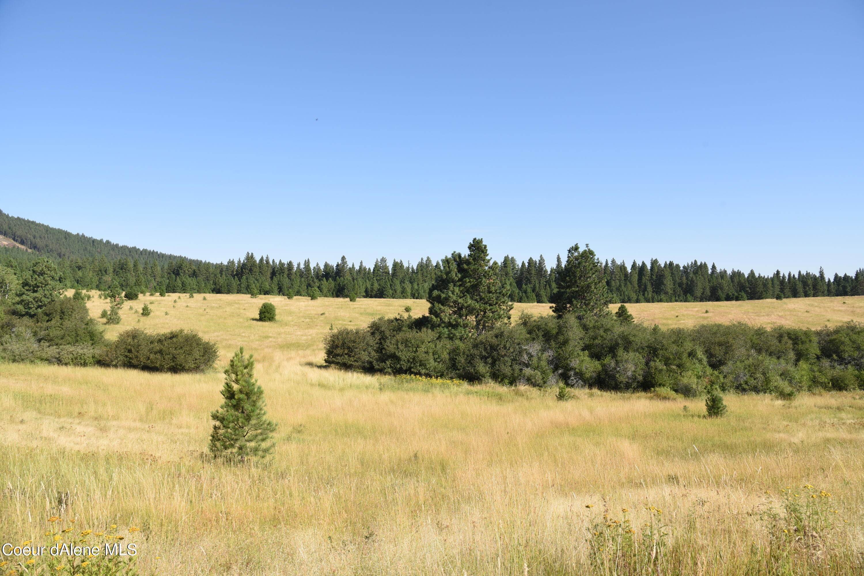 13. Land for Sale at Lot 5 Doupe Road Desmet, Idaho 83824 United States