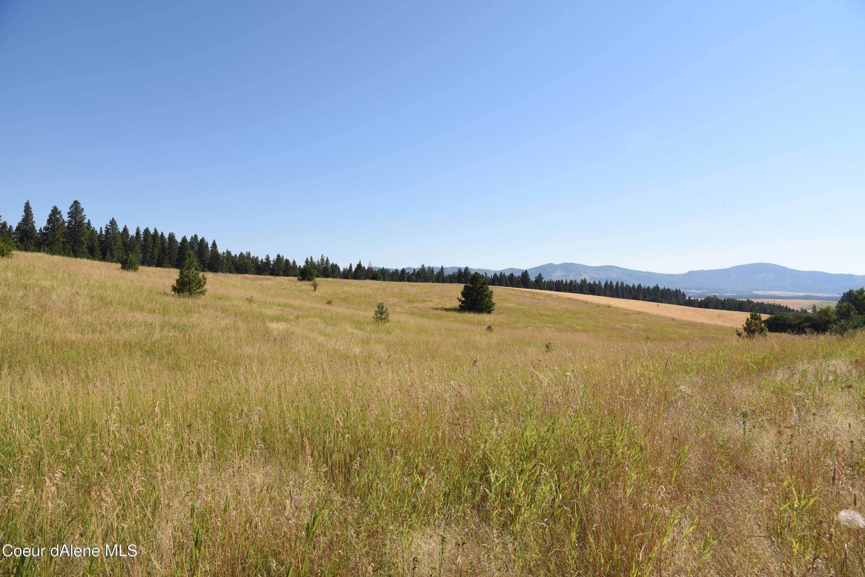 16. Land for Sale at Lot 5 Doupe Road Desmet, Idaho 83824 United States