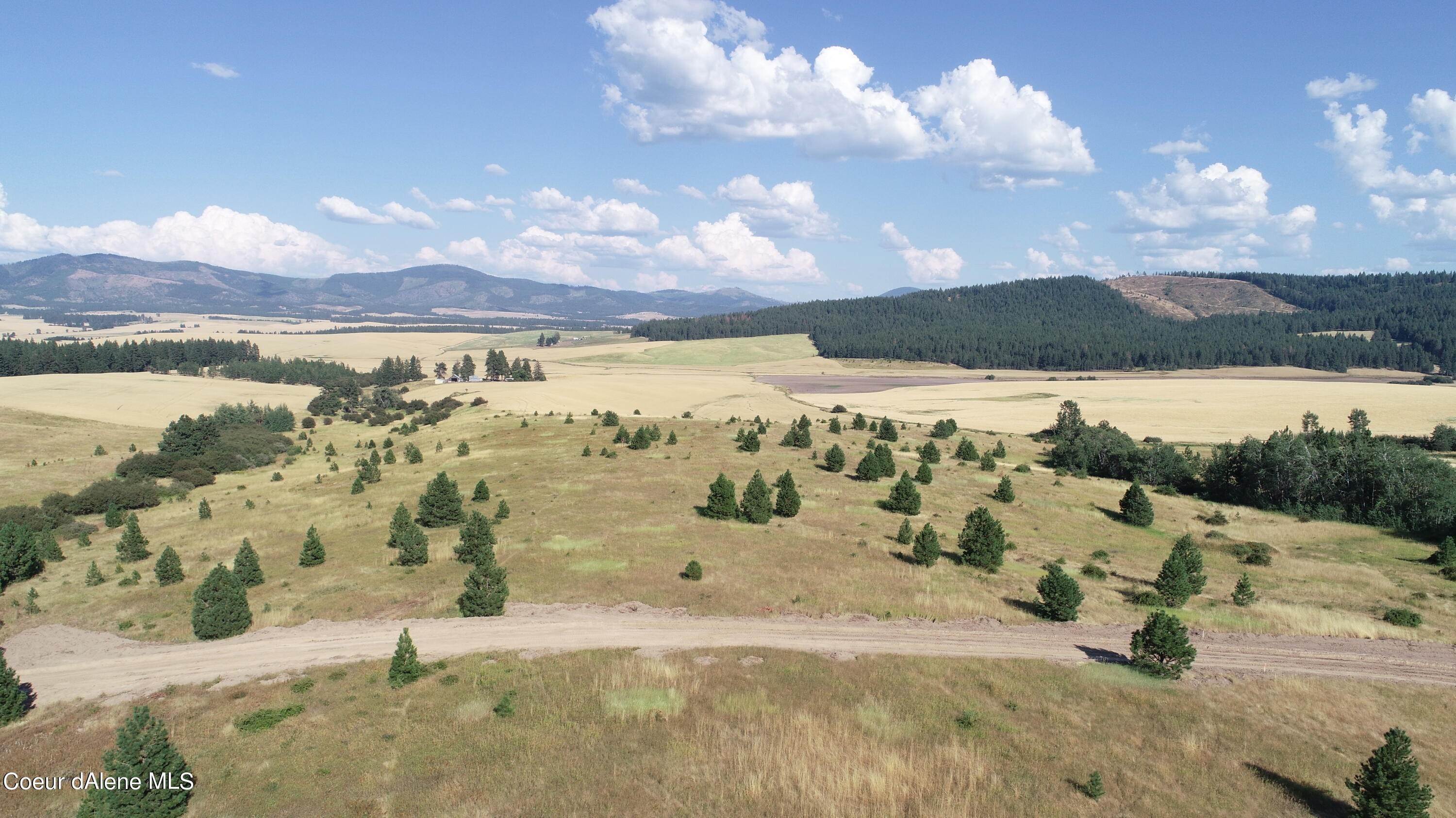 11. Land for Sale at Lot 7 Doupe Road Desmet, Idaho 83824 United States