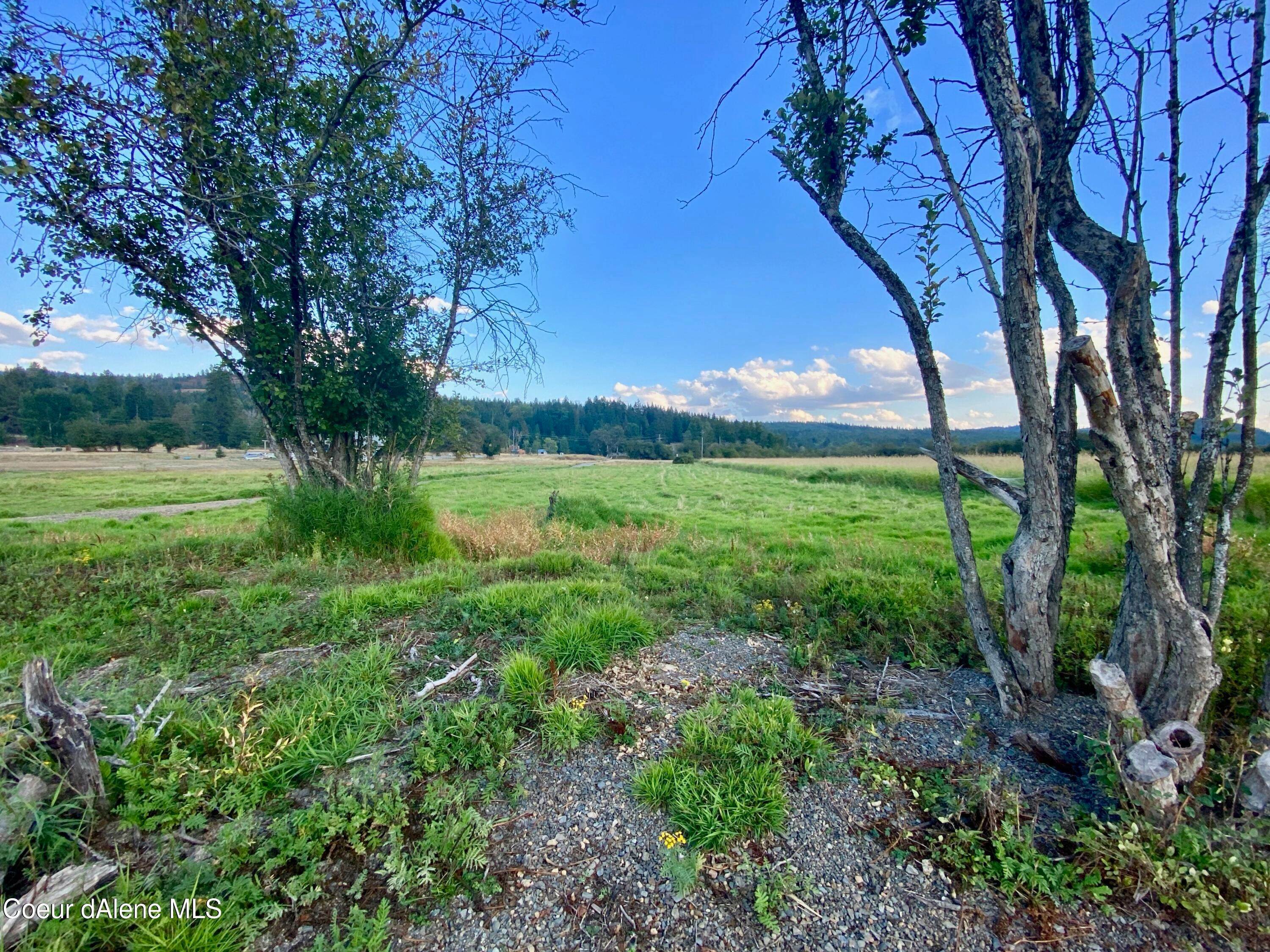 13. Land for Sale at NNA Icehouse Landing Way Lot 1 Cocolalla, Idaho 83813 United States