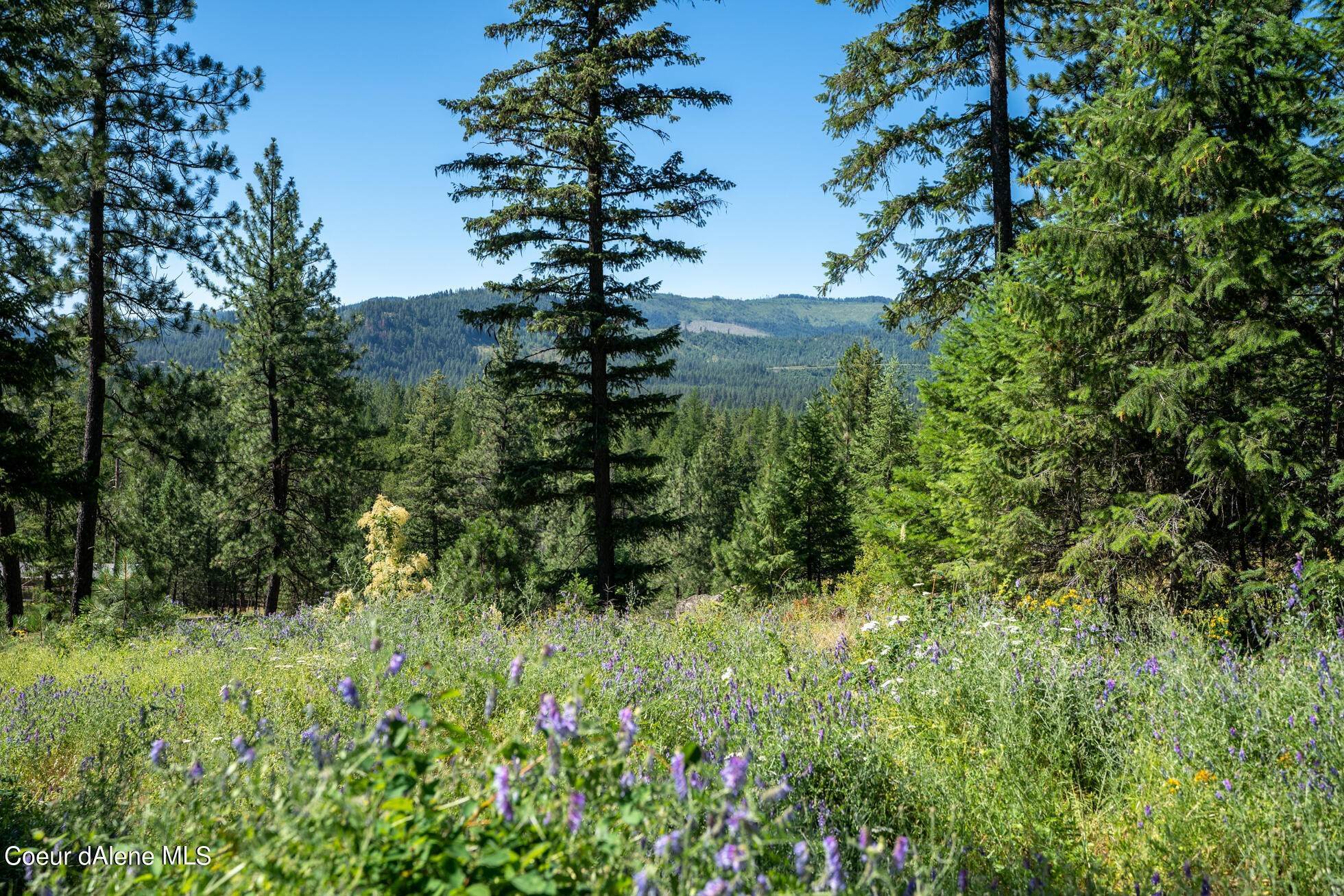 Land for Sale at 11 Wolf Lodge Trail Blanchard, Idaho 83804 United States