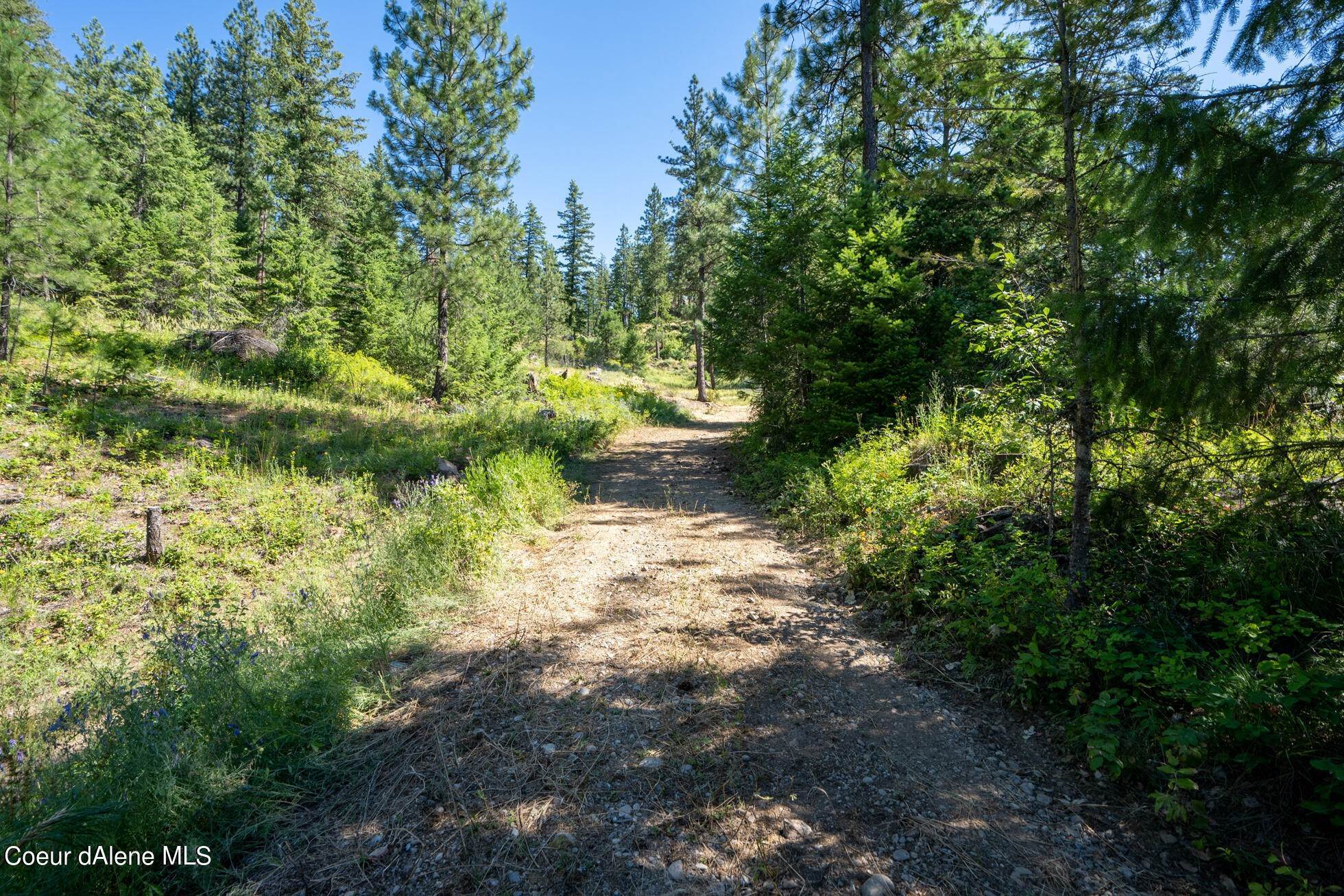 7. Land for Sale at 11 Wolf Lodge Trail Blanchard, Idaho 83804 United States