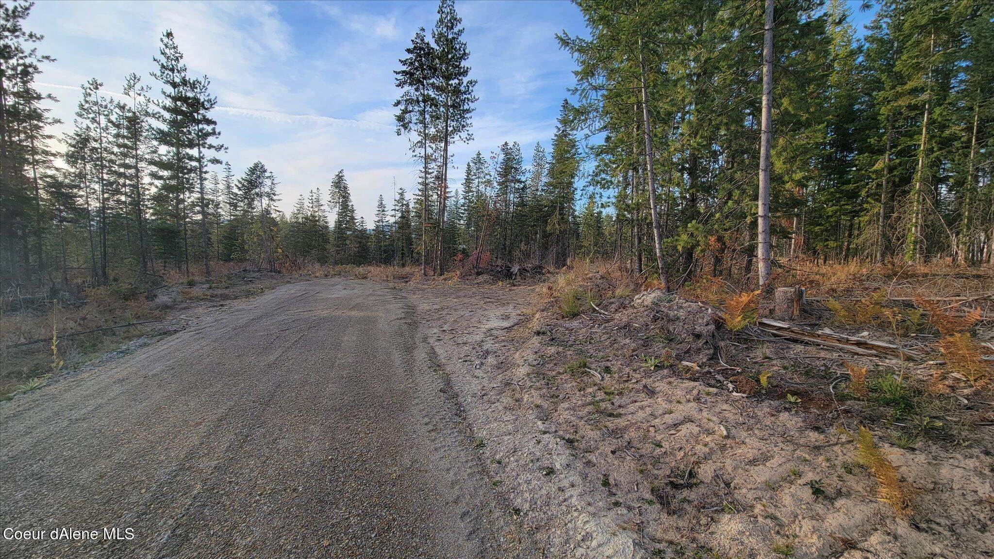 15. Land for Sale at Lot M2 Pioneer Lane Priest River, Idaho 83856 United States
