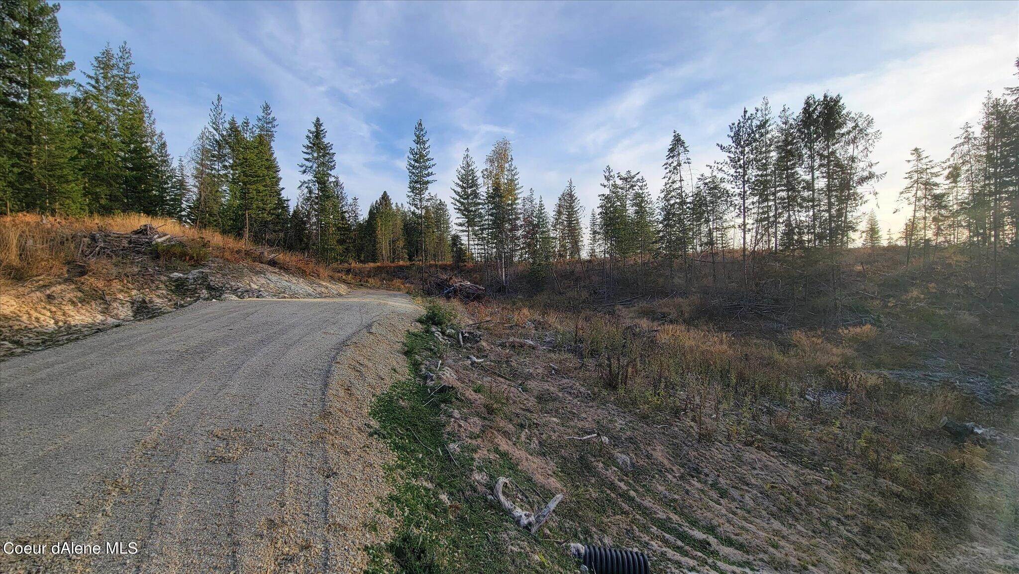 16. Land for Sale at Lot M2 Pioneer Lane Priest River, Idaho 83856 United States