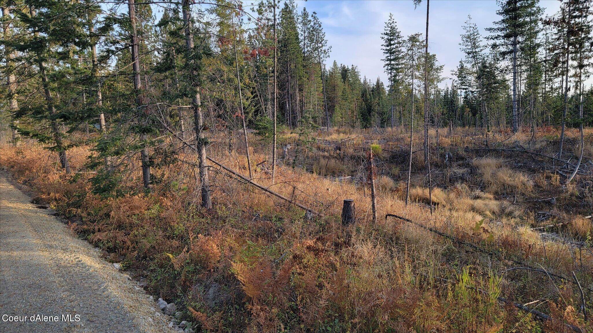 12. Land for Sale at Lot M4 Pioneer Lane Priest River, Idaho 83856 United States