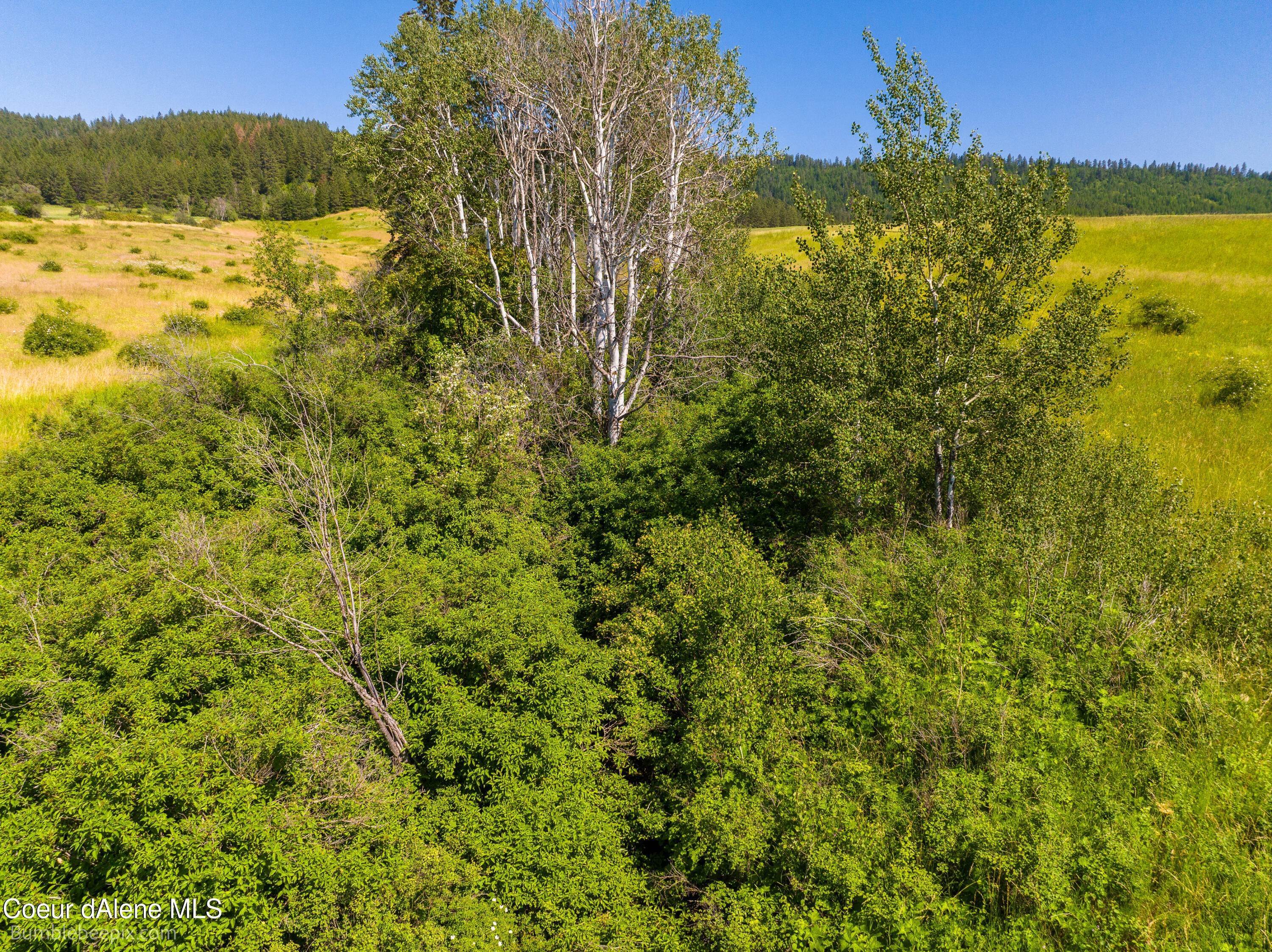 9. Land for Sale at NA Pinecreek Road Potlatch, Idaho 83855 United States