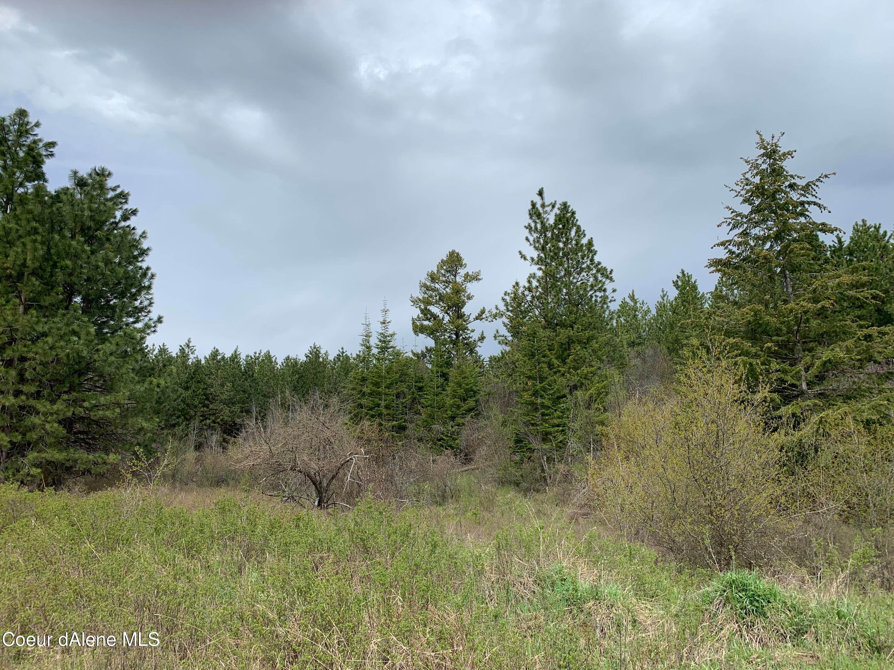 17. Land for Sale at 20 AC S. Hells Gulch Road St. Maries, Idaho 83861 United States