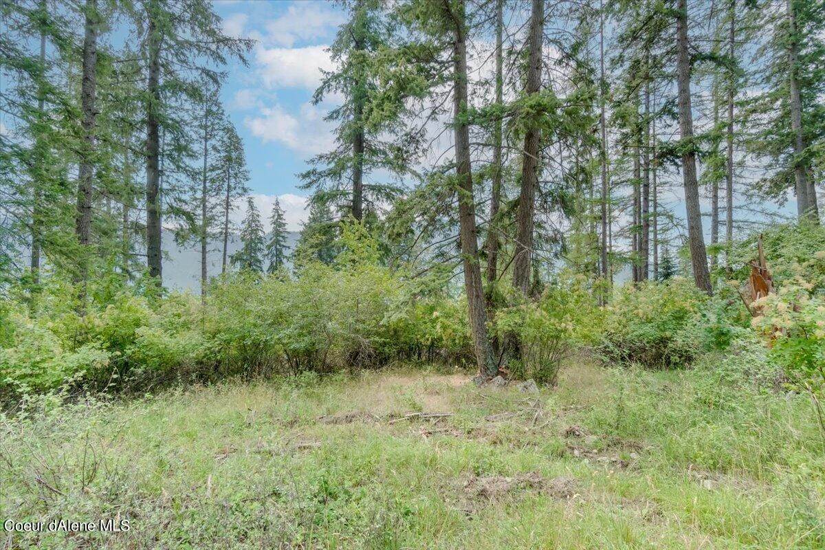 11. Land for Sale at NKA E Cape Horn Rd L2B2 Bayview, Idaho 83803 United States