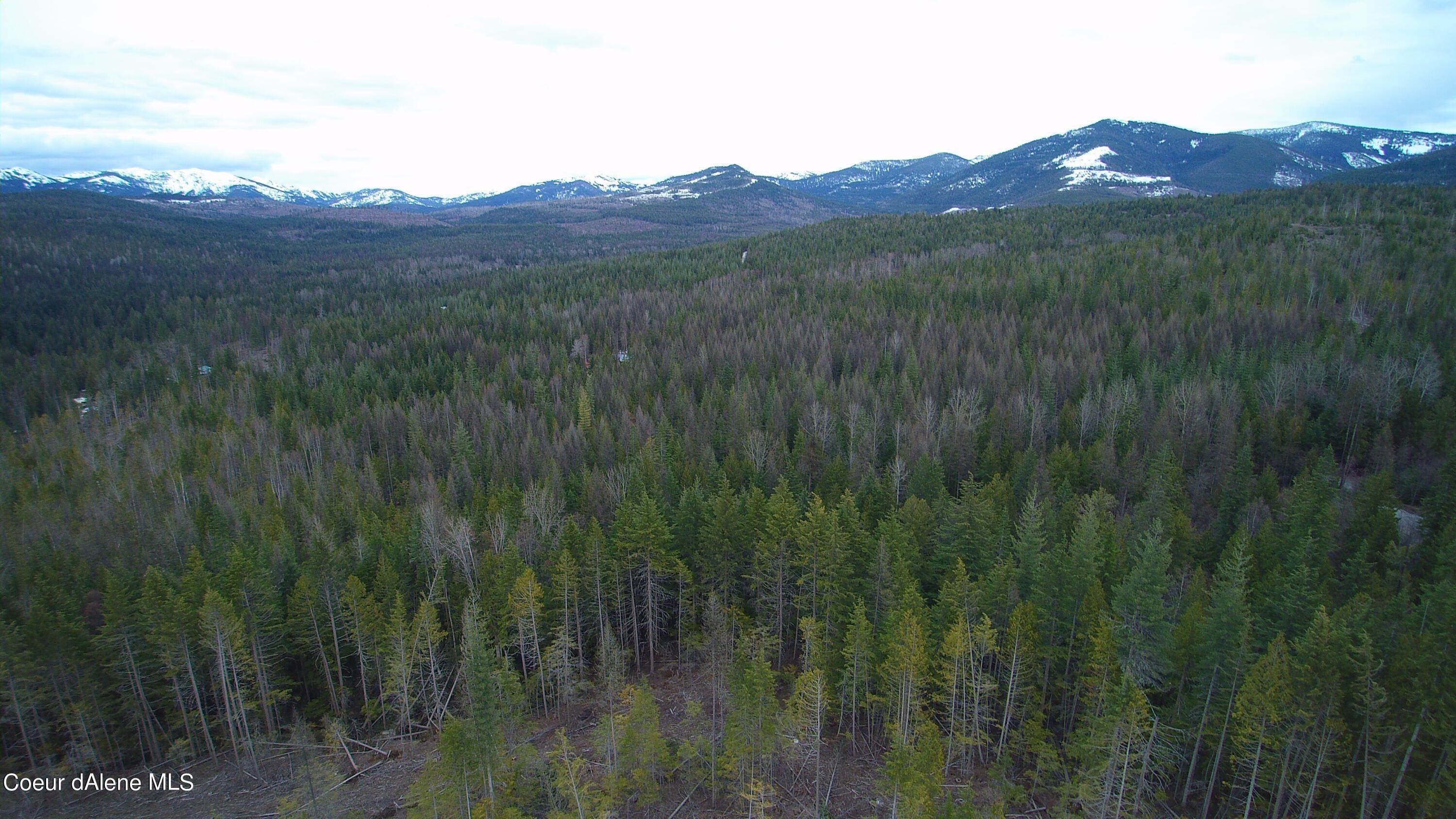 7. Land for Sale at NNA Moonfire Road Sandpoint, Idaho 83864 United States