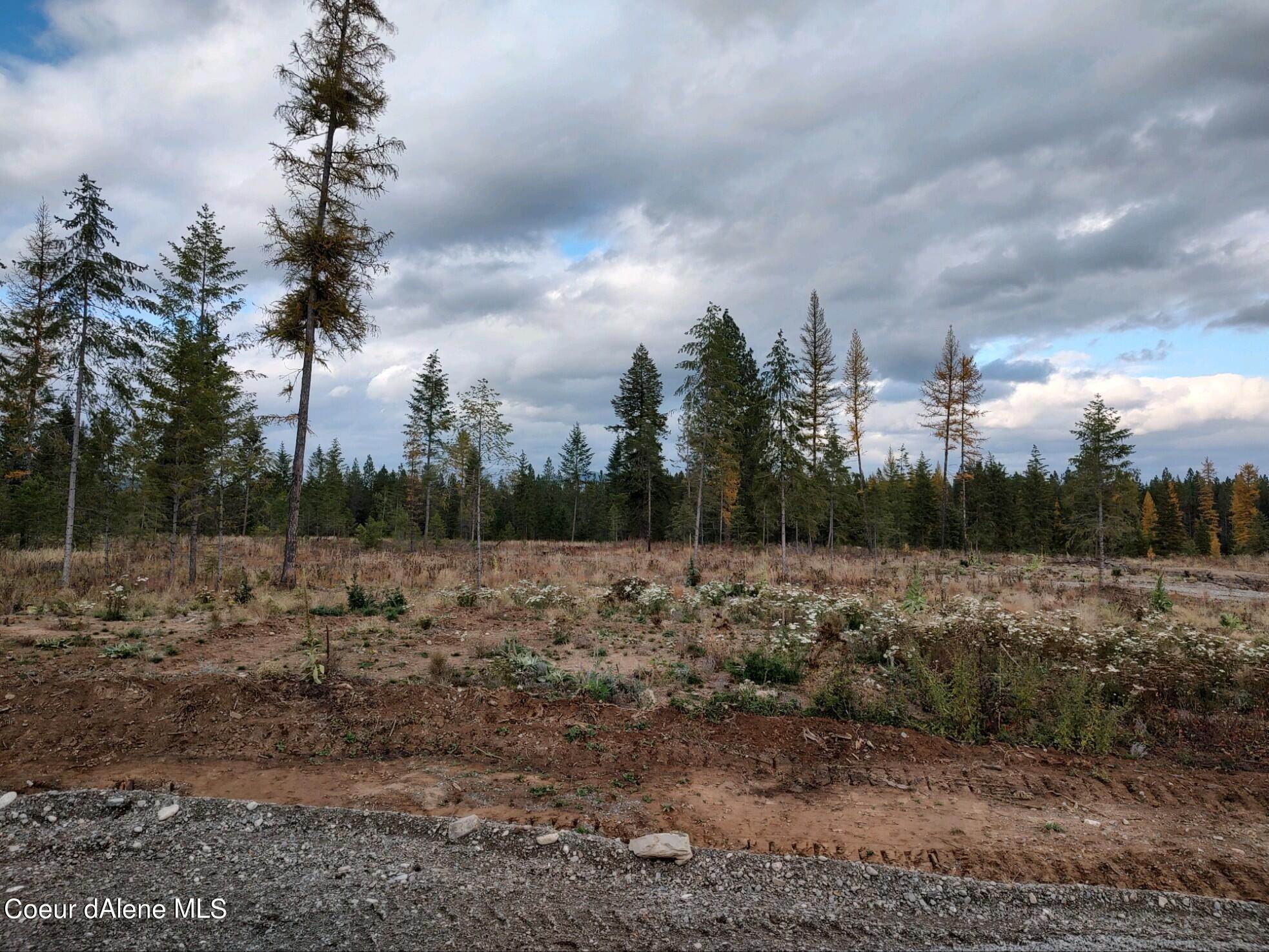 Land for Sale at NKA Tractor Way Lot 1 Blk 1 (1st Add) Priest River, Idaho 83856 United States