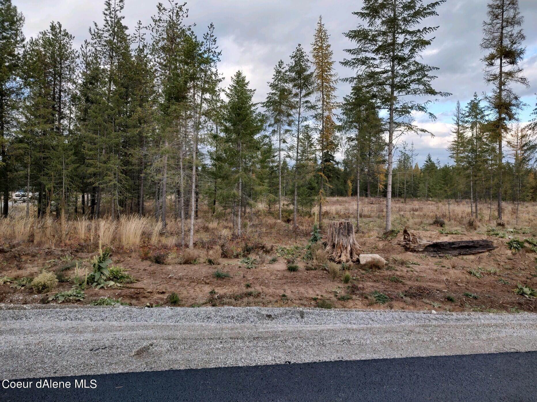 4. Land for Sale at NKA Tractor Way Lot 1 Blk 1 (1st Add) Priest River, Idaho 83856 United States