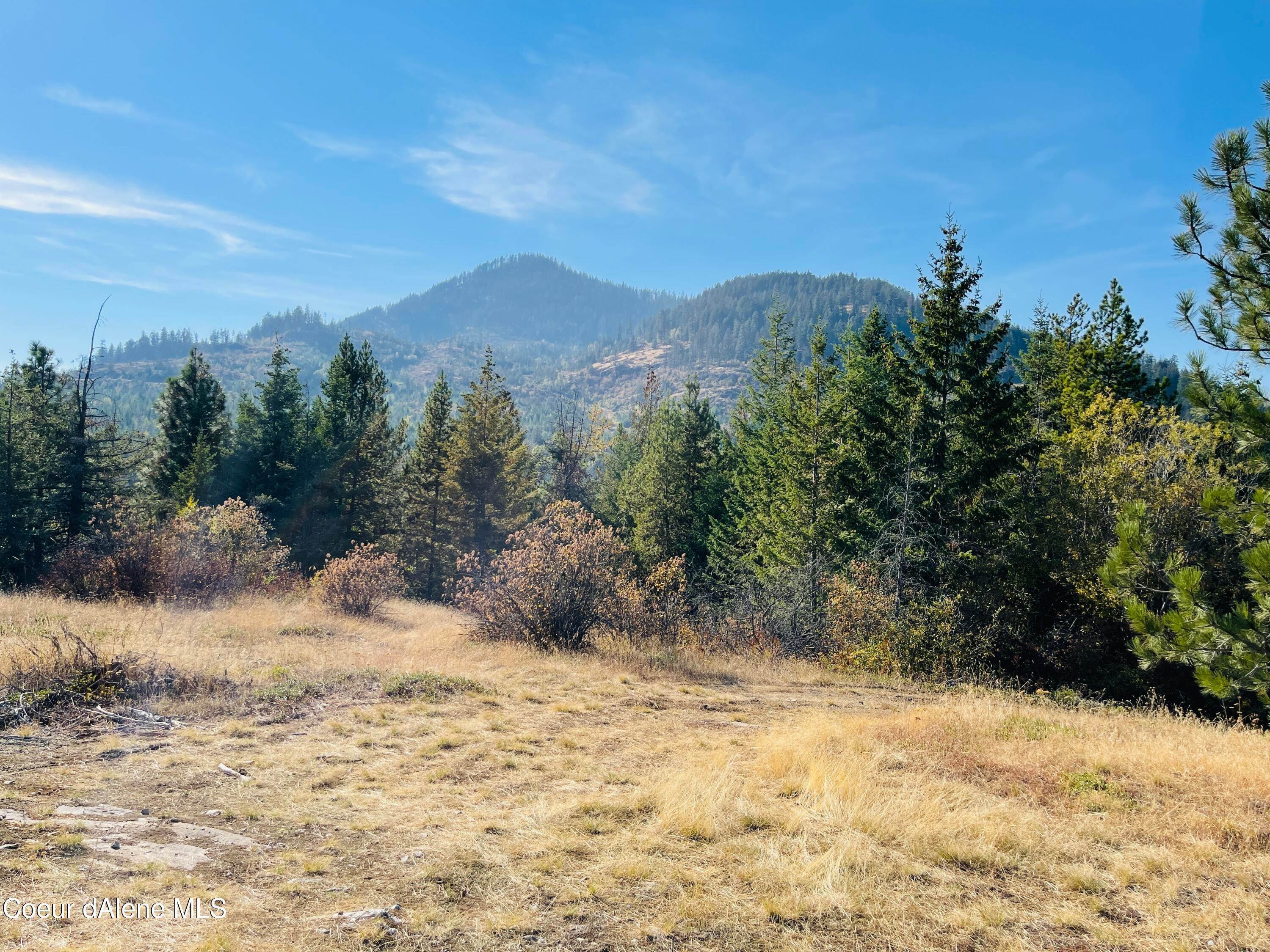6. Land for Sale at NNA Highway 95 Cocolalla, Idaho 83813 United States