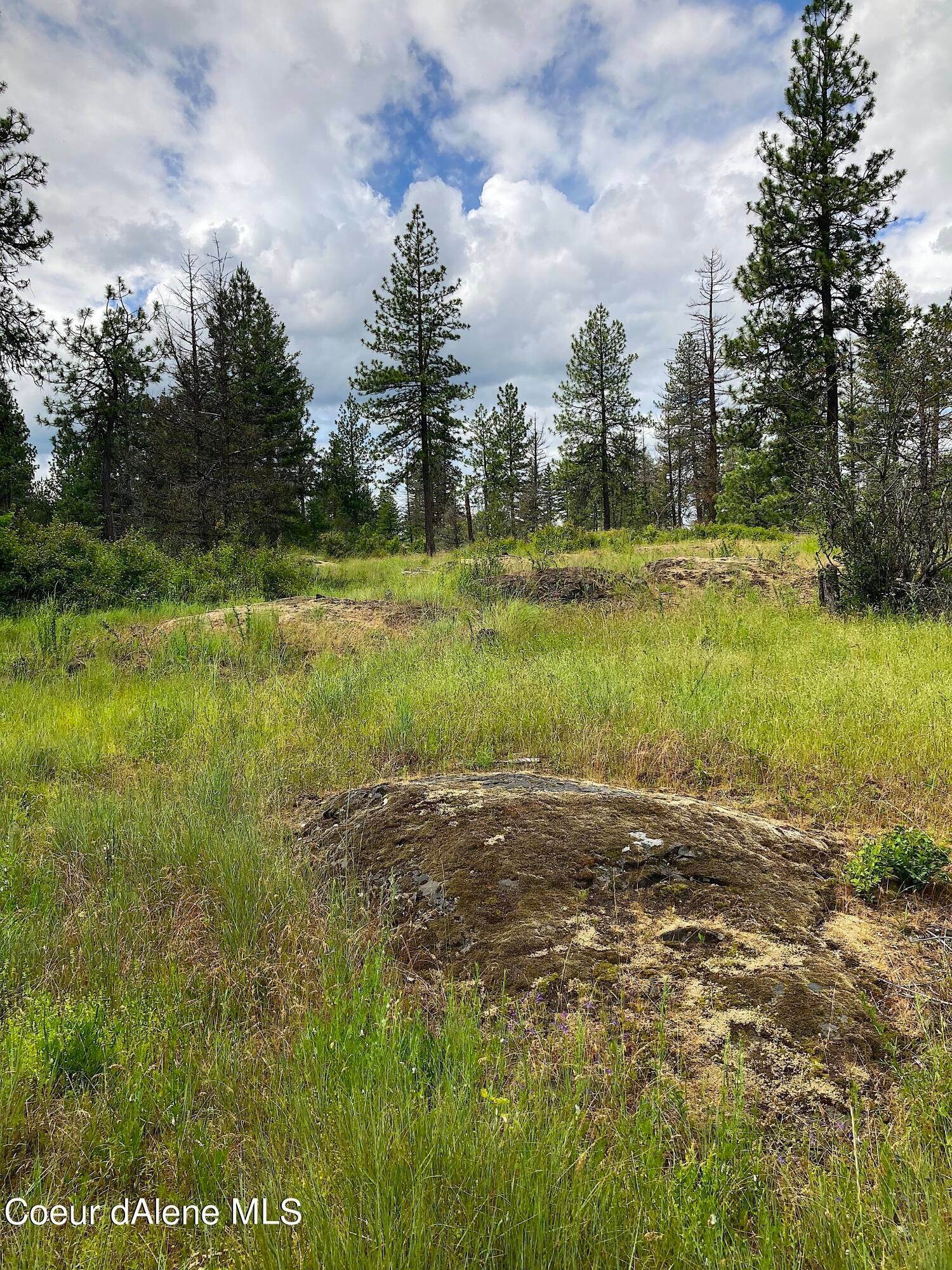 31. Land for Sale at 85 S Millview Lane Idaho 83814 United States