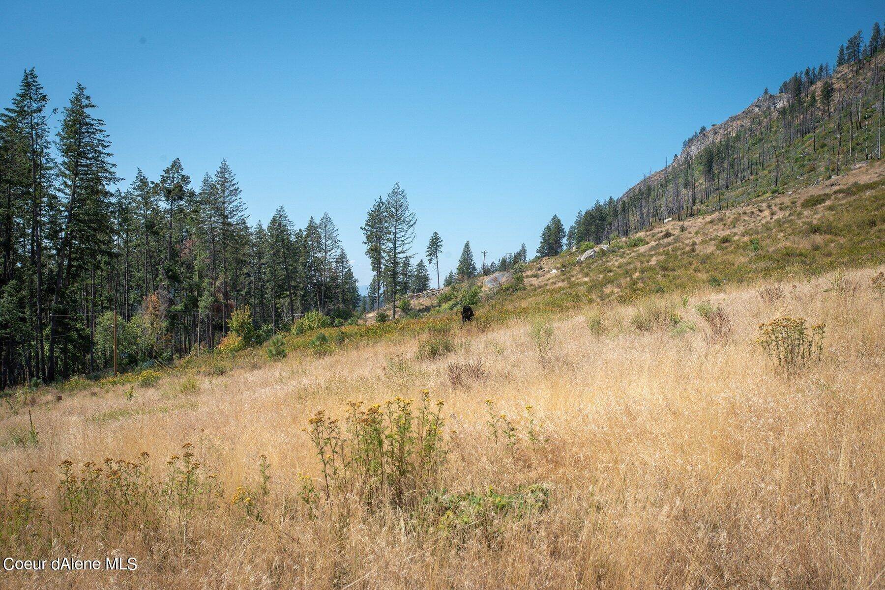 27. Land for Sale at NKA Cape Horn Drive Bayview, Idaho 83803 United States