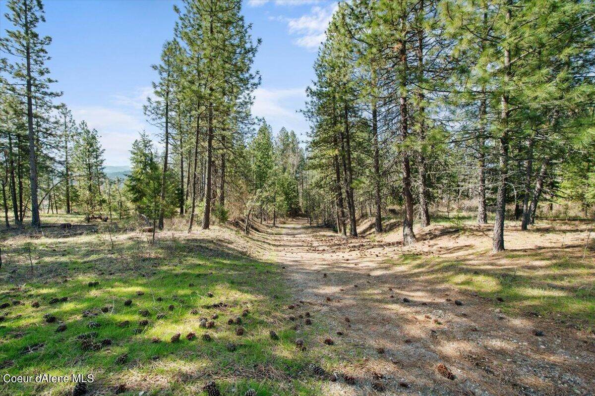 10. Land for Sale at Lot 3 Diamond Heights Road Oldtown, Idaho 83822 United States