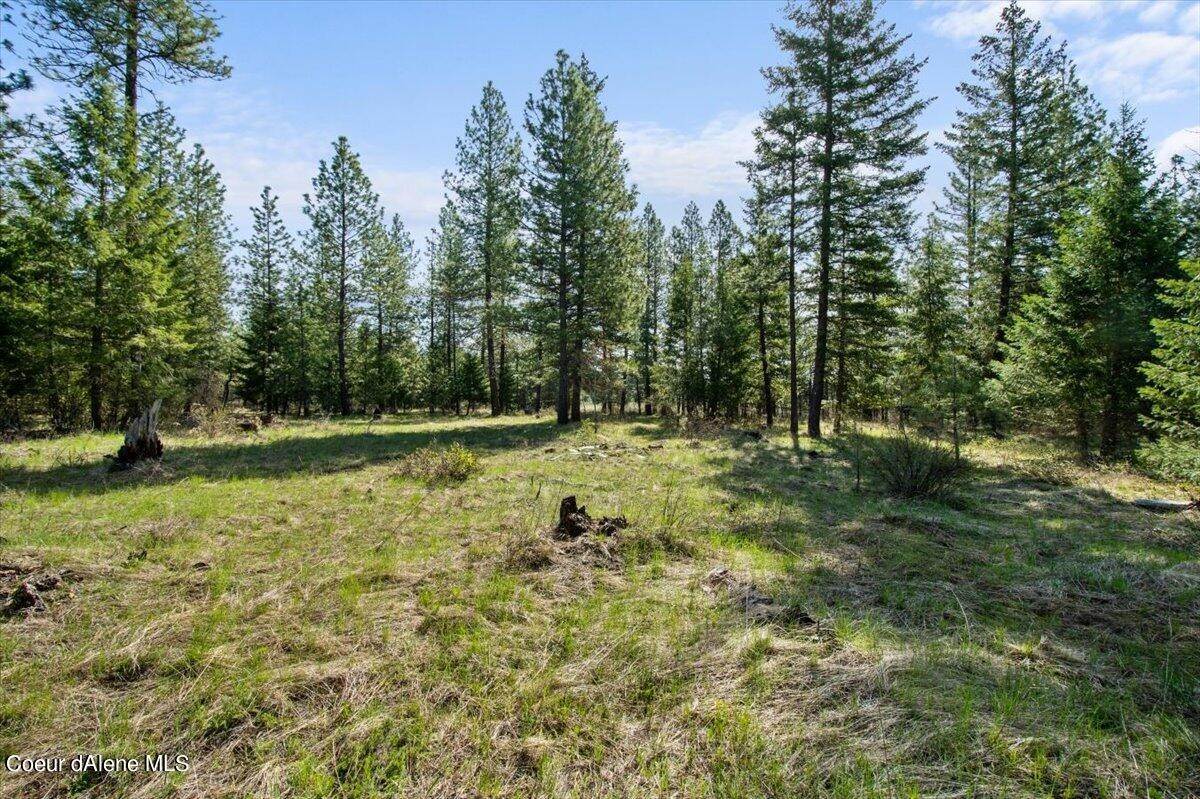 13. Land for Sale at Lot 3 Diamond Heights Road Oldtown, Idaho 83822 United States