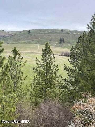 4. Land for Sale at TBD Sunnyside Bench Road Lenore, Idaho 83541 United States