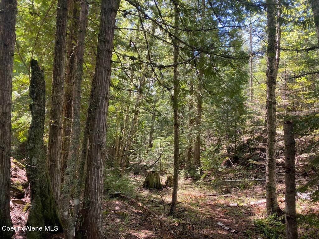 25. Land for Sale at NNA Yellow Brick Road Sandpoint, Idaho 83864 United States