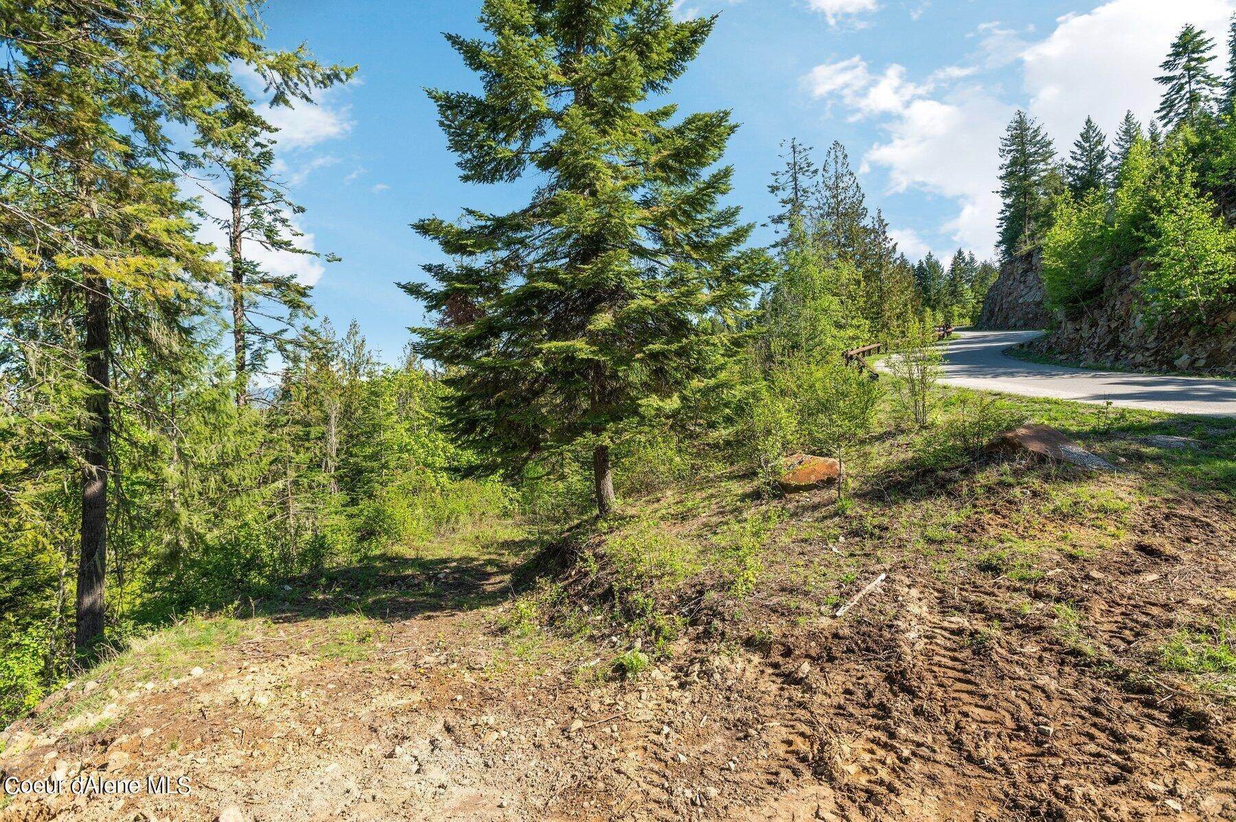 2. Land for Sale at NNA E30 Green Monarch Way Sandpoint, Idaho 83864 United States
