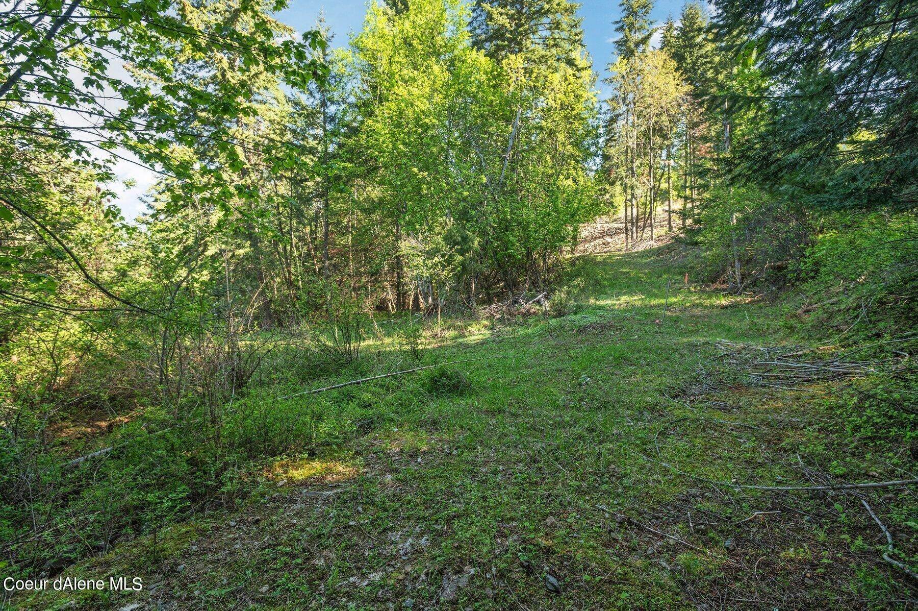 5. Land for Sale at NNA E30 Green Monarch Way Sandpoint, Idaho 83864 United States