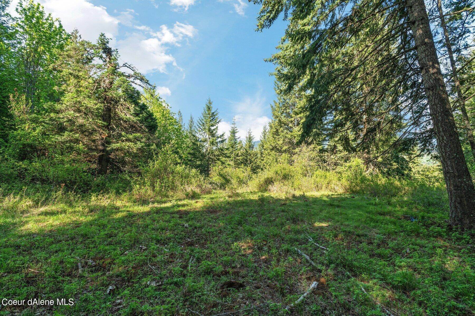 8. Land for Sale at NNA E30 Green Monarch Way Sandpoint, Idaho 83864 United States