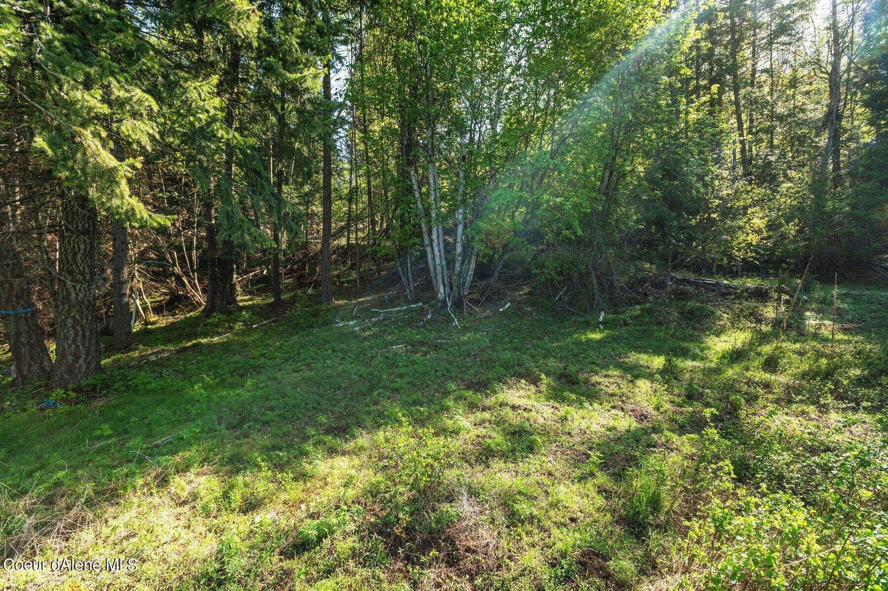14. Land for Sale at NNA E30 Green Monarch Way Sandpoint, Idaho 83864 United States