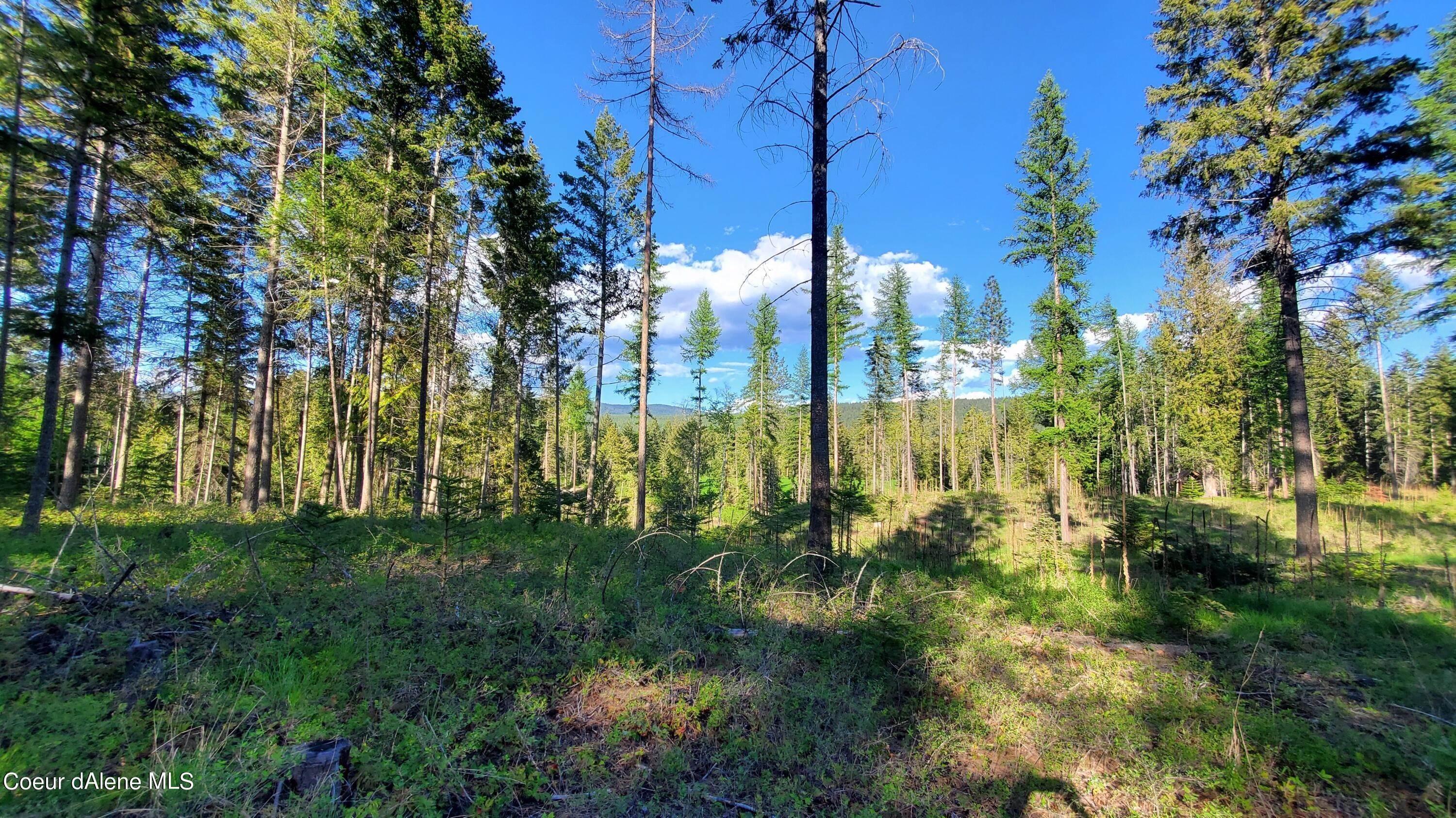 7. Land for Sale at NNA Rebel Way Bonners Ferry, Idaho 83805 United States