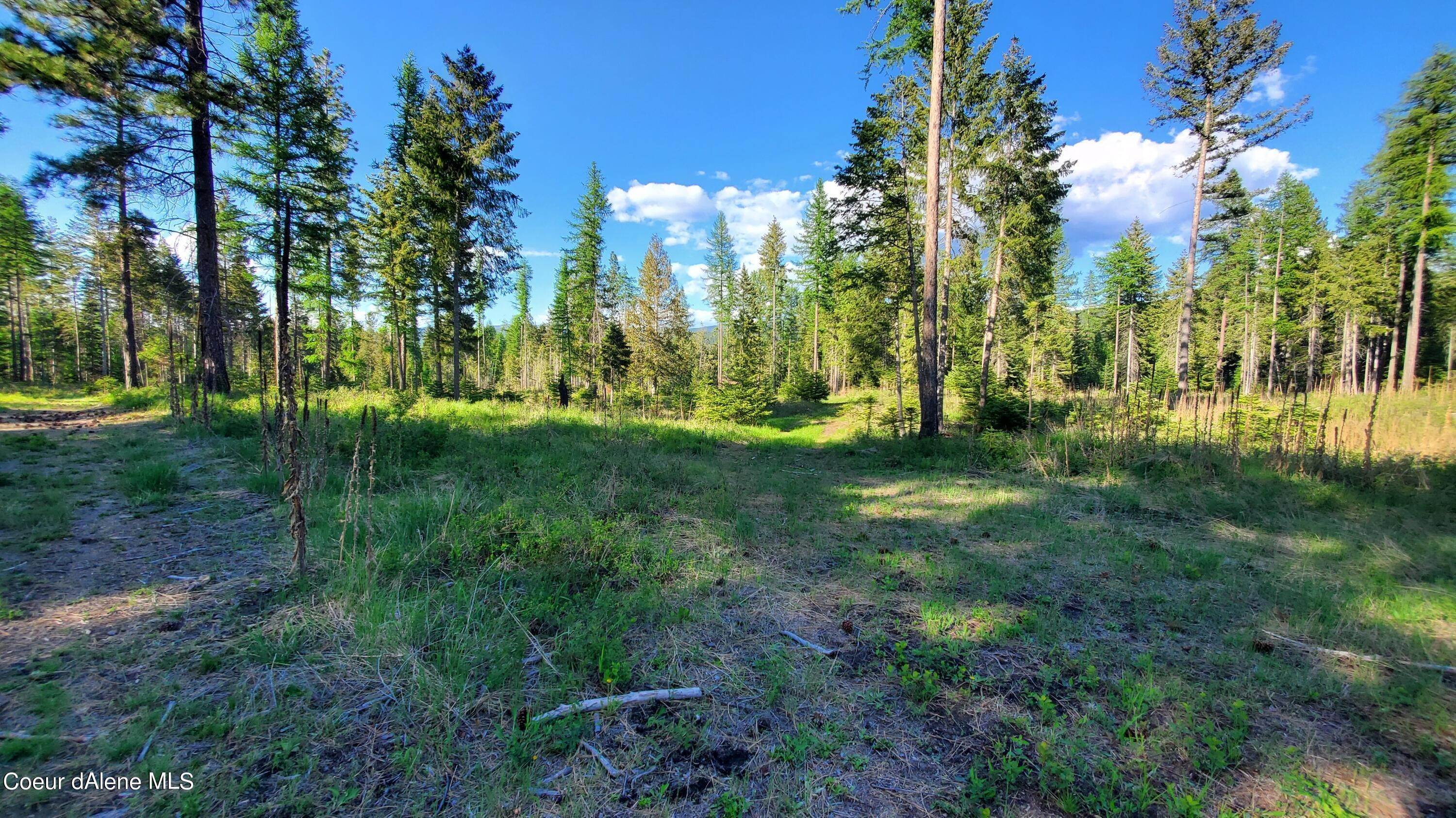 10. Land for Sale at NNA Rebel Way Bonners Ferry, Idaho 83805 United States
