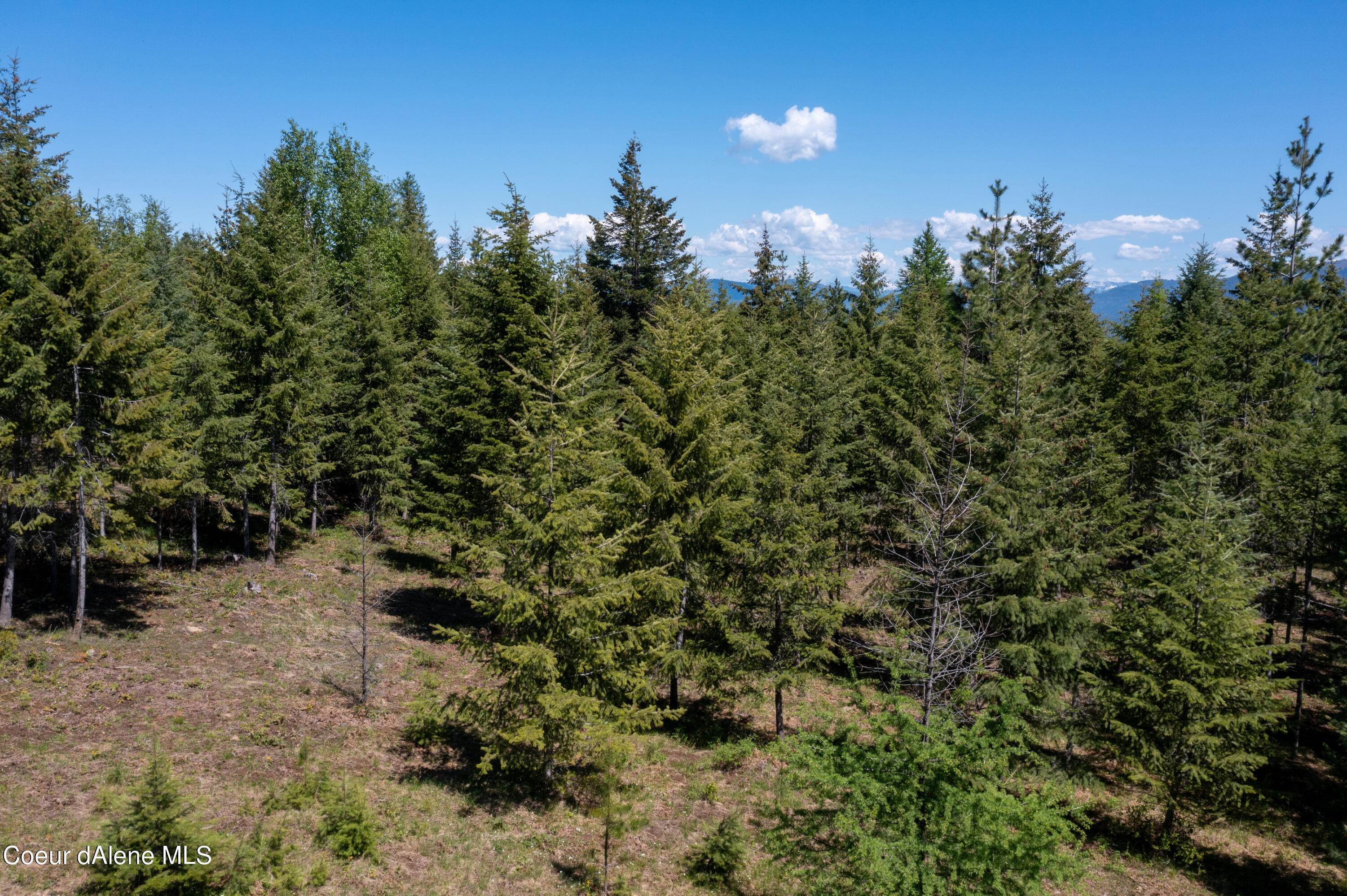 10. Land for Sale at NKA Roop Road Cocolalla, Idaho 83813 United States