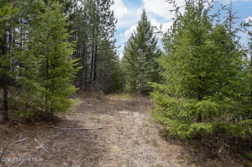 10. Land for Sale at Lot 1 Kelso Woods Drive Athol, Idaho 83801 United States