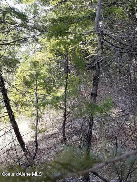 14. Land for Sale at S2 Govt Worley, Idaho 83876 United States