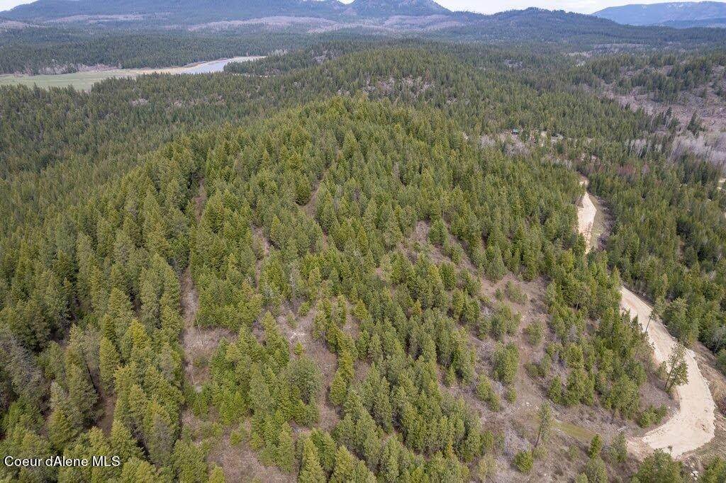 17. Land for Sale at Lot 5 Kelso Woods Drive Athol, Idaho 83801 United States
