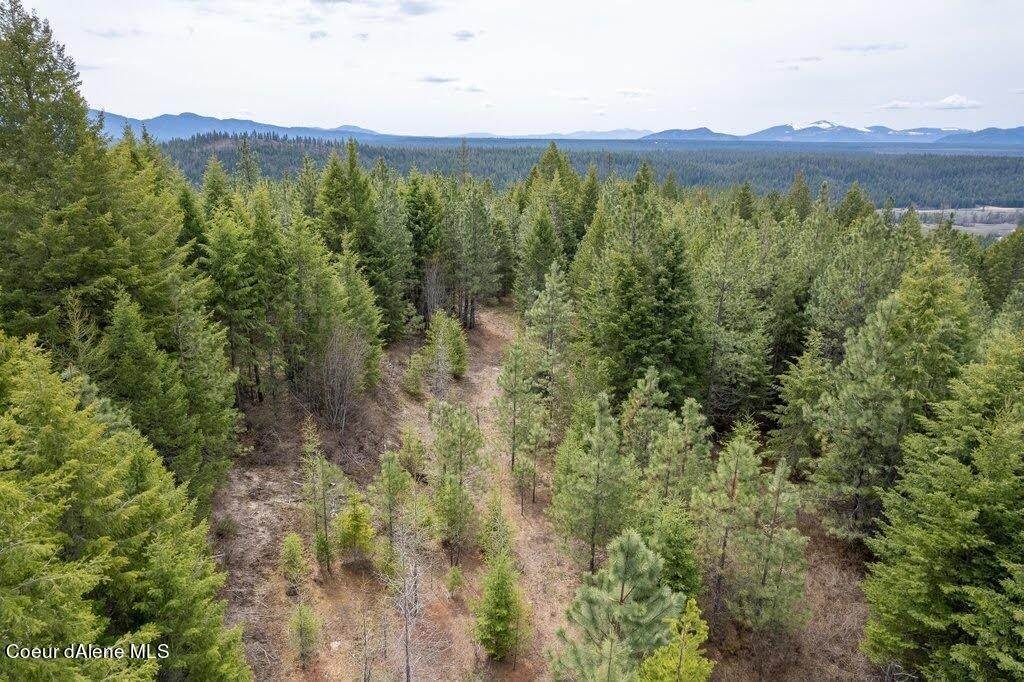 14. Land for Sale at Lot 6 Kelso Woods Drive Athol, Idaho 83801 United States