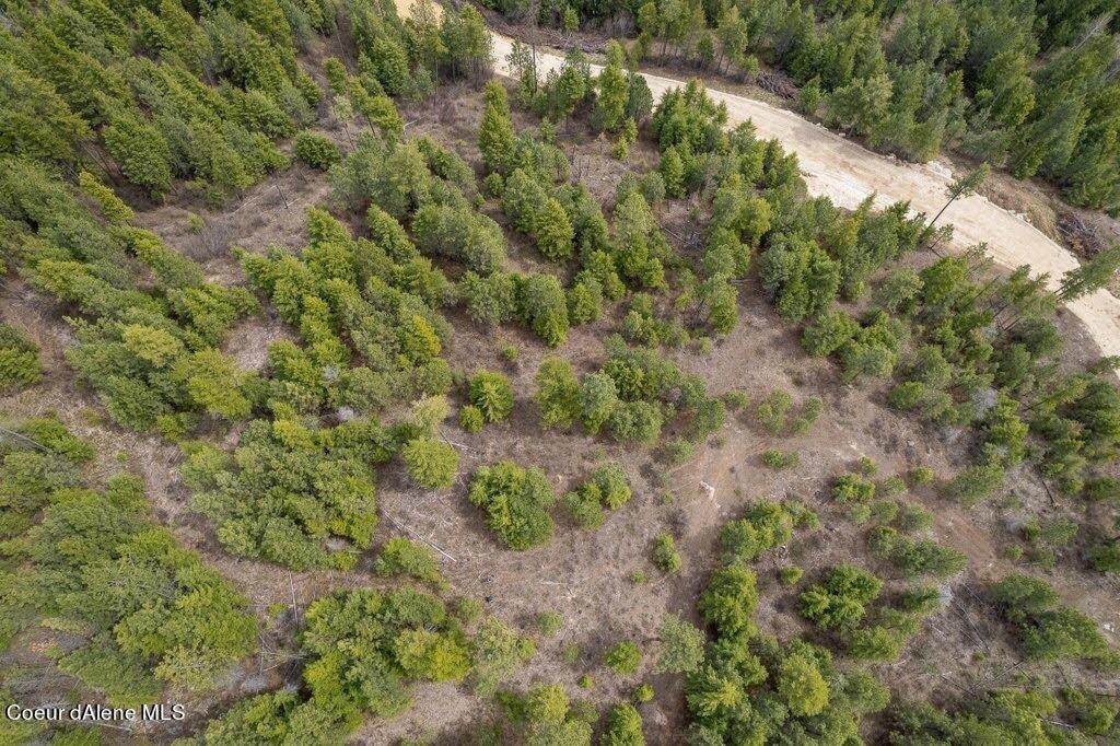 20. Land for Sale at Lot 6 Kelso Woods Drive Athol, Idaho 83801 United States